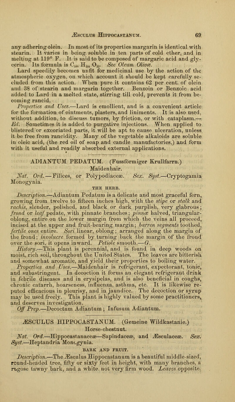 any adhering olein. In most of its properties margarin is identical with stearin. It varies in being soluble in ten parts of cold ether, and in melting at 119° F. It is said to be composed of margaric acid and gly- cerin. Its formula is Gm H104 012. See Oleum Olivce. Lard speedily becomes unfit for medicinal use by the action of the atmospheric oxygen, on which account it should be kept carefully se- cluded from this action. When pure it contains 62 per cent, of olein and 38 of stearin and margarin together. Benzoin or Benzoic acid added to Lard in a melted state, stirring till cold, prevents it from be- coming rancid. Properties a?id Uses.—Lard is emollient, and is a convenient article for the formation of ointments, plasters, and liniments. It is also used, without addition, to discuss tumors, by friction, or with cataplasm.—■ Ed. Sometimes it is added to purgative injections. When applied to blistered or excoriated parts, it will be apt to cause ulceration, unless it be free from rancidity. Many of the vegetable alkaloids are soluble in oleic acid, (the red oil of soap and candle manufactories,) and form with it useful and readily absorbed external amplications. ADIANTUM PEDATUM. (Fussformiger Krullfarrn.) Maidenhair. J\ra/. Ord.—Filices, or Polyjiodiacese. Sex. Syst.—Cryptogamia Monogynia. THE HERB. Description.—Adiantum Pedatum is a delicate and most graceful fern, growing from twelve to fifteen inches high, with the stipe or stalk and rachis, slender, polished, and black or dark purplish, very glabrous; frond or leaf pedate, with pinnate branches; pinna halved, triangular- oblong, entire on the lower margin from which the veins all proceed, incised at the upper and fruit-bearing margin; barren segments toothed, fertile ones entire. Sori linear, oblong; arranged along the margin of the frond; involucre formed by turning back the margin of the frond over the sori, it opens inward. Petiole smooth.—G-. History.—This plant is perennial, and is found in deep woods on moist, rich soil, throughout the United States. The leaves are bitterish and somewhat aromatic, and yield their properties to boiling water. Properties and Uses.—Maidenhair is refrigerant, expectorant, tonic, and subastringent. In decoction it forms an elegant refrigerant drink in febrile diseases and in erysipelas, and is also beneficial in coughs, chronic catarrh, hoarseness, influenza, asthma, etc. It is likewise re- puted efficacious in pleurisy, and in jaundice. The decoction or syrup may be used freely. This plant is highly valued by some practitioners, and deserves investigation. Off Prep.—Decoctum Adiantum ; Infusum Adiantum. ^SCULUS HIPPOCASTANUM. (Gemeine Wildkastanie.) Horse-chestnut. Nat. Ord.—Hippocastanacese—Sapindace®, and iEsculaceae. Sex. Syst.—Heptandria Monogynia. BARK AND FRUIT. Description.—The JEsculus Hippocastanum is a beautiful middle-sized, round-headed tree, fifty or sixty feet in height, with many branches, a rkgose tawny bark, and a white, not very firm wood. Leaves opposite.