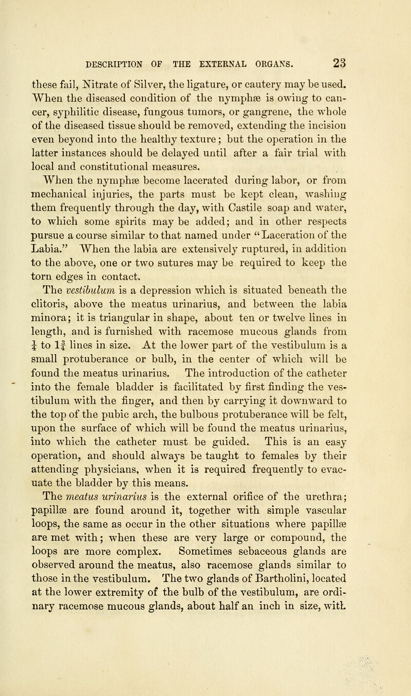 these fail, ISTitrate of Silver, the ligature, or cautery may be used. When the diseased condition of the nym^jhse is owing to can- cer, syphilitic disease, fungous tumors, or gangrene, the whole of the diseased tissue should be removed, extending the incision even beyond into the healthy texture; but the operation in the latter instances should be delayed until after a fair trial with local and constitutional measures. When the nymphse become lacerated during labor, or from mechanical injuries, the parts must be kept clean, washing them frequently through the day, with Castile soap and water, to which some spirits may be added; and in other respects pursue a course similar to that named under Laceration of the Labia. When the labia are extensively ruptured, in addition to the above, one or two sutures may be required to keep the torn edges in contact. The vestibulum is a depression which is situated beneath the clitoris, above the meatus urinarius, and between the labia minora; it is triangular in shape, about ten or twelve lines in length, and is furnished with racemose mucous glands from i to If lines in size. At the lower part of the vestibulum is a small protuberance or bulb, in the center of which will be found the meatus urinarius. The introduction of the catheter into the female bladder is facilitated by first finding the ves- tibulum with the finger, and then by carrying it downward to the top of the pubic arch, the bulbous protuberance will be felt, upon the surface of which will be found the meatus urinarius, into which the catheter must be guided. This is an easy operation, and should always be taught to females by their attending physicians, when it is required frequently to evac- uate the bladder by this means. The meatus urinarius is the external orifice of the urethra; papillae are found around it, together with simple vascular loops, the same as occur in the other situations where papillse are met with; when these are very large or compound, the loops are more complex. Sometimes sebaceous glands are observed around the meatus, also racemose glands similar to those in the vestibulum. The two glands of Bartholini, located at the lower extremity of the bulb of the vestibulum, are ordi- nary racemose mucous glands, about half an inch in size, with