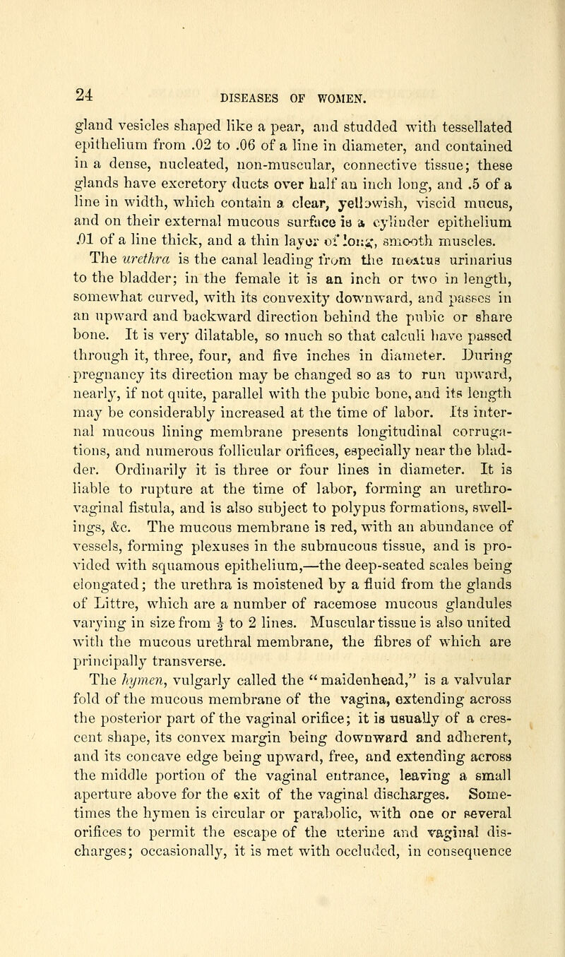 gland vesicles shaped like a pear, and studded with tessellated epithehum from .02 to .06 of a line in diameter, and contained in a dense, nucleated, non-muscular, connective tissue; these glands have excretory ducts over half an inch long, and .5 of a line in width, which contain a clear, yelbwish, viscid mucus, and on their external mucous surface io a cylinder epithelium .01 of a line thick, and a thin layer of !oi:ic, smooth muscles. The urethra is the canal leading from tlie mcritus urinarius to the bladder; in the female it is an inch or two in length, somewhat curved, with its convexity downward, and pasecs in an upward and backward direction behind the pubic or share bone. It is very dilatable, so much so that calculi have passed through it, three, four, and five inches in diameter. During pregnancy its direction may be changed so as to run upward, nearly, if not quite, parallel with the pubic bone, and its length may be considerably increased at the time of labor, its inter- nal mucous lining membrane presents longitudinal corruga- tions, and numerous follicular orifices, especially near the blad- der. Ordinarily it is three or four lines in diameter. It is liable to rupture at the time of labor, forming an urethro- vaginal fistula, and is also subject to polypus formations, swell- ings, &c. The mucous membrane is red, with an abundance of vessels, forming plexuses in the submucous tissue, and is pro- vided with squamous epithelium,—the deep-seated scales being elongated; the urethra is moistened by a fluid from the glands of Littre, which are a number of racemose mucous glandules varying in size from J to 2 lines. Muscular tissue is also united with the mucous urethral membrane, the fibres of which are principally transverse. The hymen, vulgarly called the  maidenhead, is a valvular fold of the mucous membrane of the vagina, extending across the posterior part of the vaginal orifice; it is usually of a cres- cent shape, its convex margin being downward and adherent, and its concave edge being upward, free, and extending across the middle portion of the vaginal entrance, leaving a small aperture above for the exit of the vaginal discharges. Some- times the hymen is circular or parabolic, with one or peveral orifices to permit the escape of the uterine and vaginal dis- charges; occasionally, it is met with occluded, in consequence