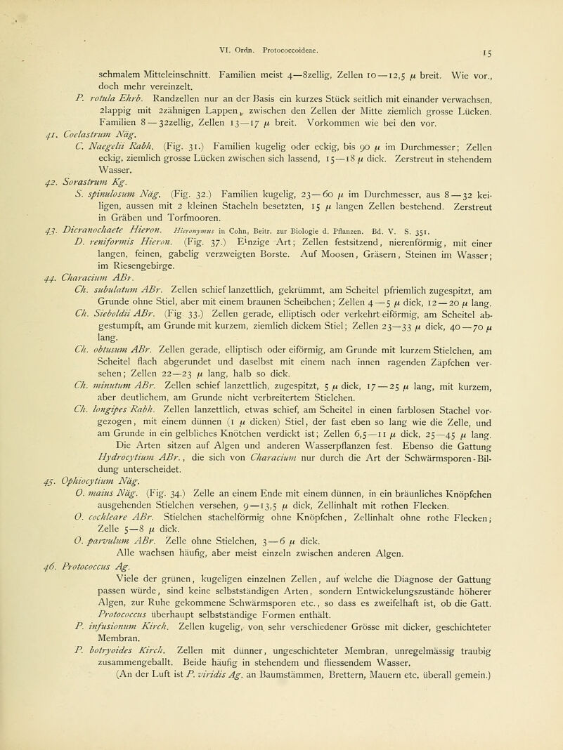 schmalem Mitteleinschnitt. Familien meist 4—8zellig, Zellen 10 —12,5 fi breit. Wie vor., doch mehr vereinzelt. P. rotula Ehrb. Randzellen nur an der Basis ein kurzes Stück seitlich mit einander verwachsen, 2lappig mit 2zähnigen Lappen , zwischen den Zellen der Mitte ziemlich grosse Lücken. Familien 8 — 32zellig, Zellen 13 —17 /.i breit. Vorkommen wie bei den vor. 41. Coelastrum Näg. C. Naegelii Rabh. (Fig. 31.) Familien kugelig oder eckig, bis 90 ^ im Durchmesser; Zellen eckig, ziemlich grosse Lücken zwischen sich lassend, 15—18 /.i dick. Zerstreut in stehendem Wasser. 42. Sorastrum Kg. S. spinulosum Näg. (Fig. 32.) Familien kugelig, 23—60 /.i im Durchmesser, aus 8 — 32 kei- ligen, aussen mit 2 kleinen Stacheln besetzten, 15 /* langen Zellen bestehend. Zerstreut in Gräben und Torfmooren. 4J. Dicranochaete Hieron. Hieronymus in Cohn, Beitr. zur Biologie d. Pflanzen. Bd. V. S. 351. D. reniformis Hieron. (Fig. 37.) Einzige Art; Zellen festsitzend, nierenförmig, mit einer langen, feinen, gabelig verzweigten Borste. Auf Moosen, Gräsern, Steinen im Wasser; im Riesengebirge. 44. Characium ABr. Ch. subulatum ABr. Zellen schief lanzettlich, gekrümmt, am Scheitel pfriemlich zugespitzt, am Grunde ohne Stiel, aber mit einem braunen Scheibchen; Zellen 4 — 5 n dick, 12 — 20 fi lang. Cli. Sieboldii ABr. (Fig. 33.) Zellen gerade, elliptisch oder verkehrt-eiförmig, am Scheitel ab- gestumpft, am Grunde mit kurzem, ziemlich dickem Stiel; Zellen 23—33 p dick, 40—70 fi lang. Cli. obtusum ABr. Zellen gerade, elliptisch oder eiförmig, am Grunde mit kurzem Stielchen, am Scheitel flach abgerundet und daselbst mit einem nach innen ragenden Zäpfchen ver- sehen; Zellen 22—23 [i lang, halb so dick. Ch. minutitm ABr. Zellen schief lanzettlich, zugespitzt, 5 (i dick, 17 — 25 ,u lang, mit kurzem, aber deutlichem, am Grunde nicht verbreitertem Stielchen. Cli. longipes Rabh. Zellen lanzettlich, etwas schief, am Scheitel in einen farblosen Stachel vor- gezogen, mit einem dünnen (1 /.i dicken) Stiel, der fast eben so lang wie die Zelle, und am Grunde in ein gelbliches Knötchen verdickt ist; Zellen 6,5 —11 /x dick, 25—45 (i lang. Die Arten sitzen auf Algen und anderen Wasserpflanzen fest. Ebenso die Gattung Hydrocytium ABr., die sich von Characium nur durch die Art der Schwärmsporen - Bil- dung unterscheidet. 45 • Ophiocytium Näg. 0. maius Näg. (Fig. 34.) Zelle an einem Ende mit einem dünnen, in ein bräunliches Knöpfchen ausgehenden Stielchen versehen, 9 —13,5 fx dick, Zellinhalt mit rothen Flecken. 0. cochleare ABr. Stielchen stachelförmig ohne Knöpfchen, Zellinhalt ohne rothe Flecken; Zelle 5—8 \i dick. 0. parvulum ABr. Zelle ohne Stielchen, 3 — 6 [i dick. Alle wachsen häufig, aber meist einzeln zwischen anderen Algen. 46. Protococcus Ag. Viele der grünen, kugeligen einzelnen Zellen, auf welche die Diagnose der Gattung passen würde, sind keine selbstständigen Arten, sondern Entwickelungszustände höherer Algen, zur Ruhe gekommene Schwärmsporen etc., so dass es zweifelhaft ist, ob die Gatt. Protococcus überhaupt selbstständige Formen enthält. P. infusionum Kirch. Zellen kugelig, von sehr verschiedener Grösse mit dicker, geschichteter Membran. P. botryoides Kirch. Zellen mit dünner, ungeschichteter Membran, unregelmässig traubig zusammengeballt. Beide häufig in stehendem und fliessendem Wasser. (An der Luft ist P. viridis Ag. an Baumstämmen, Brettern, Mauern etc. überall gemein.)