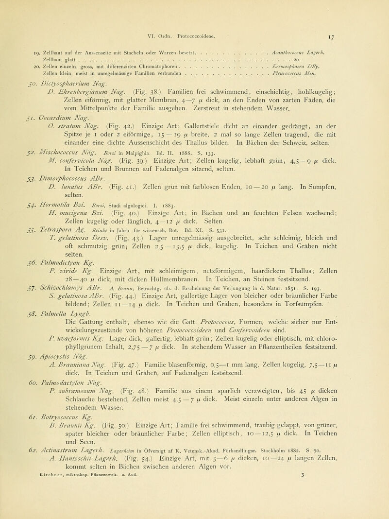 19. Zellhaut auf der Aussenseite mit Stacheln oder Warzen besetzt Acanthococcics Lagerh. Zellhaut glatt . -. 20. 20. Zellen einzeln, gross, mit differenzirten Chromatophoren Eremospliaera DBy. Zellen klein, meist in unregelmässige Familien verbunden Pleurococcus Men. 50. Dictyosphaerium Näg. D. Ehrenbergianum Näg. (Fig. 38.) Familien frei schwimmend, einschichtig, hohlkugelig; Zellen eiförmig, mit glatter Membran, 4—7 (.1 dick, an den Enden von zarten Fäden, die vom Mittelpunkte der Familie ausgehen. Zerstreut in stehendem Wasser. ßi. Oocardium Näg. 0. Stratum Näg. (Fig. 42.) Einzige Art; Gallertstiele dicht an einander gedrängt, an der Spitze je I oder 2 eiförmige, 15 — 19 /x breite, 2 mal so lange Zellen tragend, die mit einander eine dichte Aussenschicht des Thallus bilden. In Bächen der Schweiz, selten. 52. MischocoCCUS Näg. Borzi in Malpighia. Bd. II. 1888. S. 133. M. confervicola Näg. (Fig. 39.) Einzige Art; Zellen kugelig, lebhaft grün, 4,5—9 /.i dick. In Teichen und Brunnen auf Fadenalgen sitzend, selten. Sj. Dimorphococcus ABr. D. lunatus ABr. (Fig. 41.) Zellen grün mit farblosen Enden, 10 — 20 [x lang. In Sümpfen, selten. 54. Hormotila Bzi. Borzi, Studi algologici. I. 1883. H. mucigena Bzi. (Fig. 40.) Einzige Art; in Bächen und an feuchten Felsen wachsend; Zellen kugelig oder länglich, 4 — 12 (.1 dick. Selten. JJ. Tetraspora Ag. Reinkt in Jahrb. für wissensch. Bot. Bd. XI. S. 531. T. gelatinosa Desv. (Fig. 43.) Lager unregelmässig ausgebreitet, sehr schleimig, bleich und oft schmutzig grün; Zellen 2,5 —13,5 fi dick, kugelig. In Teichen und Gräben nicht selten. 36. Palmodictyon Kg. P. viride Kg. Einzige Art, mit schleimigem, netzförmigem, haardickem Thallus; Zellen 28 — 40 (x dick, mit dicken Hüllmembranen. In Teichen, an Steinen festsitzend. 57. SchlZOchlamys ABr. A. Braun, Betrachtg. üb. d. Erscheinung der Verjüngung in d. Natur. 1851. S. 193. 5. gelatinosa ABr. (Fig. 44.) Einzige Art, gallertige Lager von bleicher oder bräunlicher Farbe bildend; Zellen n —14 /x dick. In Teichen und Gräben, besonders in Torfsümpfen. $8. Palmella Lyngb. Die Gattung enthält, ebenso wie die Gatt. Protococcus, Formen, welche sicher nur Ent- wickelungszustände von höheren Protococcoideen und Confervoideen sind. P. uvaeformis Kg. Lager dick, gallertig, lebhaft grün; Zellen kugelig oder elliptisch, mit chloro- phyllgrünem Inhalt, 2,75—7 u dick. In stehendem Wasser an Pflanzentheilen festsitzend. 59. Apiocystis Näg. A. Brauniana Näg. (Fig. 47.) Familie blasenförmig, 0,5—1 mm lang, Zellen kugelig, 7,5 — 11 f.i dick. In Teichen und Gräben, auf Fadenalgen festsitzend. 60. PalmodactyIon Näg. P. subramosam Näg. (Fig. 48.) Familie aus einem spärlich verzweigten, bis 45 \x dicken Schlauche bestehend, Zellen meist 4,5—7 /x dick. Meist einzeln unter anderen Algen in stehendem Wasser. 61. Botryococcus Kg. B. Braunii Kg. (Fig. 50.) Einzige Art; Familie frei schwimmend, traubig gelappt, von grüner, später bleicher oder bräunlicher Farbe; Zellen elliptisch, 10—12,5 fi dick. In Teichen und Seen. 62. Actitiastrum Lagerh. Lagerheim in Öfversigt af K. Vetensk.-Akad. Förhandlingar. Stockholm 1882. S. 70. A. Hantzschii Lagerh. (Fig. 54.) Einzige Art, mit 3 — 6 /< dicken, 10—24 (.1 langen Zellen, kommt selten in Bächen zwischen anderen Algen vor. Kirchner, mikroskop. Pflanzenwelt. 2. Aufl. 3
