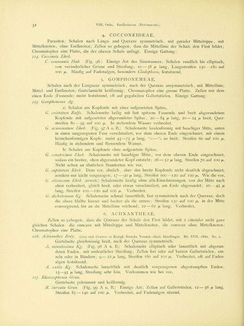 4. COCCONEIDEAE. Parasiten; Schalen nach Längs- und Queraxe symmetrisch, mit gerader Mittelrippe, mit Mittelknoten, ohne Endknoten; Zellen so gebogen, dass die Mittellinie der Schale den First bildet; Chromatophor eine Platte, die der oberen Schale anliegt. Einzige Gattung: lij-. Cocconeis Ehrb. C. communis Hab. (Fig. 96.) Einzige Art des Süsswassers; Schalen rundlich bis elliptisch, von veränderlicher Grösse und Streifung; 10 — 38 (.1 lang, Längsstreifen 150—180 auf IOO ;U. Häufig auf Fadenalgen, besonders Cladoplwra, festsitzend. 5. GOMPHONEMEAE. Schalen nach der Längsaxe symmetrisch, nach der Queraxe unsymmetrisch, mit Mittellinie, Mittel- und Endknoten; Gürtelansicht keilförmig; Chromatophor eine grosse Platte. Zellen mit dem einen Ende (Fussende) meist festsitzend, oft auf gegabelten Gallertstielen. Einzige Gattung: 115. Gomphonema Ag. a) Schalen am Kopfende mit einer aufgesetzten Spitze. G. cristatum Ralfs. Schalenseite keilig mit fast spitzem Fussende und breit abgerundetem Kopfende mit aufgesetzter abgerundeter Spitze, 20 — 84 [x lang, 20—24 /x breit, Quer- streifen 80 — 95 auf 100 fx. In stehendem Wasser verbreitet. G. acuminatum Ehrb. (Fig. 97 A u. B.) Schalenseite keulenförmig mit bauchiger Mitte, unten in einen ausgezogenen Fuss verschmälert, vor dem oberen Ende eingeschnürt, mit einem krönchenförmigen Kopfe; meist 45—75 fx lang, V™—'U so breit, Streifen 60 auf IOO /x. Häufig in stehendem und fliessendem Wasser. b) Schalen am Kopfende ohne aufgesetzte Spitze. G. constrictum Ehrb. Schalenseite mit bauchiger Mitte, vor dem oberen Ende eingeschnürt, sodass ein breiter, oben abgerundeter Kopf entsteht; 26— 52 /X lang, Streifen 70 auf IOO (x. Nicht selten an ähnlichen Standorten wie vor. G. capitatum Ehrb. Dem vor. ähnlich, aber das breite Kopfende nicht deutlich abgeschnürt, sondern nur leicht vorgezogen; 17 — 90^ lang, Streifen 100 —120 auf 100 /x. Wie die vor. G. olivaceuin Elirb. (erweit.) Schalenseite keulig ohne alle Einschnürungen, von der Mitte nach oben verbreitert, gleich breit, oder etwas verschmälert, am Ende abgerundet; 10 — 45 (.1 lang, Streifen 100—120 auf 100 /x. Verbreitet. G. dichotomum Kg. Schalenseite schmal lanzettlich, fast symmetrisch nach der Queraxe, doch die obere Hälfte kürzer und breiter als die untere; Streifen 130 auf 100 (X, in der Mitte convergirend, bis an die Mittellinie reichend; 22—62 /x lang. Verbreitet. 6. ACHNANTHEAE. Zellen so gebogen, dass die Queraxe der Schale den First bildet, mit 2 einander nicht ganz gleichen Schalen: die concave mit Mittelrippe und Mittelknoten, die convexe ohne Mittelknoten; Chromatophor eine Platte. 116. AchnantheS Bory. Cleve und Grunow in Konigl. Svenska Vetensk.-Akad. Handlingar. Bd. XVII, 1880. No. 2. Gürtelseite gleichmässig breit, nach der Queraxe symmetrisch. A. minutissima Kg. (Fig. 98 A u. B.) Schalenseite elliptisch oder lanzettlich mit abgerun- deten Enden, mit undeutlicher Streifung; Zellen frei oder auf kurzen Gallertstielen, ein- zeln oder in Bändern; 9-—-22,1t lang, Streifen 160 auf 100 /.i. Verbreitet, oft auf Faden- algen festsitzend. A. exilis Kg. Schalenseite lanzettlich mit deutlich vorgezogenen abgestumpften Enden; 15—45 f.i lang, Streifung sehr fein. Vorkommen wie bei vor. uy. Rhoicosphenia Grün. Gürtelseite gekrümmt und keilförmig. R. curvata Grün. (Fig. 99 A u. B.) Einzige Art; Zellen auf Gallertstielen, 12 — 56 fi lang, Streifen 85 — 140 auf 100 fx. Verbreitet, auf Fadenalgen sitzend.