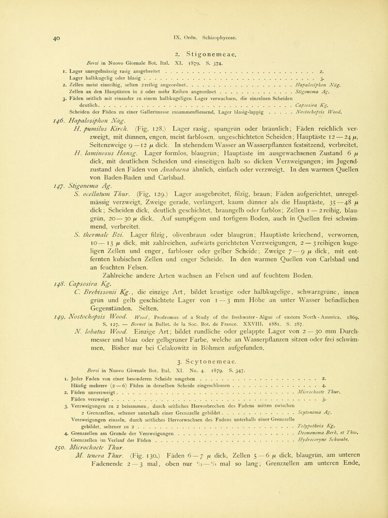 2. Stigonemeae. Borzi in Nuovo Giornale Bot. Ital. XI. 1879. S. 374. 1. Lager unregelmässig rasig ausgebreitet 2. Lager halbkugelig oder blasig 3. 2. Zellen meist einreihig, selten 2 reihig angeordnet Hapalosiphon Näg, Zellen an den Hauptästen in 2 oder mehr Reihen angeordnet Stigonema Ag. 3. Fäden seitlich mit einander zu einem halbkugeligen Lager verwachsen, die einzelnen Scheiden deutlich Capsosira Kg. Scheiden der Fäden zu einer Gallertmasse zusammenfliessend, Lager blasig-lappig Nostochopsis Wood. 146, Hapalosiphon Näg. H. pumilus Kircli. (Fig. 128.) Lager rasig, spangrün oder bräunlich; Fäden reichlich ver- zweigt, mit dünnen, engen, meist farblosen, ungeschichteten Scheiden; Hauptäste 12 — 24^, Seitenzweige 9—12 /.i dick. In stehendem Wasser an Wasserpflanzen festsitzend, verbreitet. H. laminosus Hansg. Lager formlos, blaugrün; Hauptäste im ausgewachsenen Zustand 6 (.1 dick, mit deutlichen Scheiden und einseitigen halb so dicken Verzweigungen; im Jugend- zustand den Fäden von Anabaena ähnlich, einfach oder verzweigt. In den warmen Quellen von Baden-Baden und Carlsbad. itf. Stigonema Ag. S. ocellatum Thur. (Fig. 129.) Lager ausgebreitet, filzig, braun; Fäden aufgerichtet, unregel- mässig verzweigt, Zweige gerade, verlängert, kaum dünner als die Hauptäste, 35—48 fx dick ; Scheiden dick, deutlich geschichtet, braungelb oder farblos; Zellen 1 — 2 reihig, blau- grün, 20—30 ;U dick. Auf sumpfigem und torfigem Boden, auch in Quellen frei schwim- mend, verbreitet. J>. thermale Bzi. Lager filzig, olivenbraun oder blaugrün; Hauptäste kriechend, verworren, 10—13 fi dick, mit zahlreichen, aufwärts gerichteten Verzweigungen, 2 — 3 reihigen kuge- ligen Zellen und enger, farbloser oder gelber Scheide; Zweige 7 — 9 ju dick, mit ent- fernten kubischen Zellen und enger Scheide. In den warmen Quellen von Carlsbad und an feuchten Felsen. Zahlreiche andere Arten wachsen an Felsen und auf feuchtem Boden. 148. Capsosira Kg. C. Brebissonii Kg., die einzige Art, bildet krustige oder halbkugelige, schwarzgrüne, innen grün und gelb geschichtete Lager von 1 — 3 mm Höhe an unter Wasser befindlichen Gegenständen. Selten. I^p. Nostochopsis Wood. Wood, Prodromus of a Study of the freshwater - Algae of eastern North - America. 1S69. S. 127. — Bornet in Bullet, de la Soc. Bot. de France. XXVIII. 1881. S. 287. N. lobatus Wood. Einzige Art; bildet rundliche oder gelappte Lager von 2 — 30 mm Durch- messer und blau oder gelbgrüner Farbe, welche an Wasserpflanzen sitzen oder frei schwim- men. Bisher nur bei Celakowitz in Böhmen aufgefunden. 3. Scytonemeae. Borzi in Nuovo Giornale Bot. Ital. XI. No. 4. 1879. S. 347. 1. Jeder Faden von einer besonderen Scheide umgeben 2. Häufig mehrere (2 — 6) Fäden in derselben Scheide eingeschlossen 4. 2. Fäden unverzweigt Microchaete Thur. Fäden verzweigt 3- 3. Verzweigungen zu 2 beisammen, durch seitliches Hervorbrechen des Fadens mitten zwischen 2 Grenzzellen, seltener unterhalb einer Grenzzelle gebildet Scytonema Ag. Verzweigungen einzeln, durch seitliches Hervorwachsen des Fadens unterhalb einer Grenzzelle gebildet, seltener zu 2 Tolypothrix Kg. 4. Grenzzellen am Grunde der Verzweigungen Desmonema Berk. et Thw. Grenzzellen im Verlauf der Fäden Hydrocoryne Schwabe. 130. Microchaete Thur. M. tenera Thur. (Fig. 130.) Fäden 6 — yf.t dick, Zellen 5— 6 /.i dick, blaugrün, am unteren