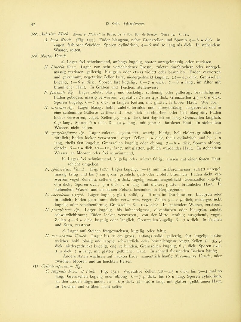 Ijtf. Alllosira Kirch. Bortut et Flahuult in Bullet, de la Soc. Bot. de France. Tome 3z. S. 119. A. laxa Kirch. (Fig. 133.) Fäden blaugrün, nebst Grenzzellen und Sporen 5 — 8 fi dick, in engen, farblosen Scheiden, Sporen cylindrisch, 4-—6 mal so lang als dick. In stehendem Wasser, selten. iß6. Nostoc Vauch. a) Lager frei schwimmend, anfangs kugelig, später unregelmässig oder zerrissen. N. Linckia Born. Lager von sehr verschiedener Grösse, zuletzt durchlöchert oder unregel- mässig zerrissen, gallertig, blaugrün oder etwas violett oder bräunlich; Fäden verworren und gekrümmt, vegetative Zellen kurz, niedergedrückt kugelig, 3,5 —4 jx dick, Grenzzellen kugelig, 5—6 fx dick, Sporen fast kugelig, 6 — 7 /.i dick, 7—8 \i lang, im Alter mit bräunlicher Haut. In Gräben und Teichen, stellenweise. N. piscinale Kg. Lager zuletzt blasig und buckelig, schleimig oder gallertig, bräunlichgrün; Fäden gebogen, massig verworren, vegetative Zellen 4 /.i dick, Grenzzellen 4,5—6 fx dick, Sporen kugelig, 6 — 7 f.i dick, in langen Ketten, mit glatter, farbloser Haut. Wie vor. N. cameurn Ag. Lager blasig, hohl, zuletzt formlos und unregelmässig ausgebreitet und in eine schleimige Gallerte zerfliessend, bräunlich-fleischfarben oder hell blaugrün; Fäden locker verworren, veget. Zellen 3,5—4./x dick, fast doppelt so lang, Grenzzellen länglich, 6 // lang, Sporen 6 fi dick, 8— 10 f« lang, mit glatter, farbloser Haut. In stehendem Wasser, nicht selten. N. spo?igiaeforme Ag. Lager zuletzt ausgebreitet, warzig, blasig, hell violett-grünlich oder röthlich; Fäden locker verworren; veget. Zellen 4 /u dick, theils cylindrisch und bis 7 /.i lang, theils fast kugelig, Grenzzellen kugelig oder oblong, 7 — 8 (i dick, Sporen oblong, einzeln, 6 — 7 fi dick, 10—12 (x lang, mit glatter, gelblich werdender Haut. In stehendem Wasser, an Moosen oder frei schwimmend. b) Lager frei schwimmend, kugelig oder zuletzt faltig, aussen mit einer festen Haut- schicht umgeben. N. sphaericum Vauch. (Fig. 142.) Lager kugelig, 1—15 mm im Durchmesser, zuletzt unregel- mässig faltig und bis 7 cm gross, grünlich, gelb oder violett-bräunlich; Fäden dicht ver- worren, veget. Zellen 4, seltener 5 /.t dick, kugelig-zusammengedrückt, Grenzzellen kugelig, 6 fi dick, Sporen oval, 5 n dick, 7 /.i lang, mit dicker, glatter, bräunlicher Haut. In stehendem Wasser und an nassen Felsen, besonders in Berggegenden. N. caeruleum Lyngb. Lager kugelig, glatt, solid, 5-—6 mm im Durchmesser, blaugrün oder bräunlich; Fäden gekrümmt, dicht verworren, veget. Zellen 5—7 f.i dick, niedergedrückt kugelig oder scheibenförmig, Grenzzellen 8—\o/.i dick. In stehendem Wasser, zerstreut. N. pruniforme Ag. Lager kugelig, bis hühnereigross, olivenfarben oder blaugrün, zuletzt schwärzlichbraun; Fäden locker verworren, von der Mitte strahlig ausgehend, veget. Zellen 4—6 /.i dick, kugelig oder länglich, Grenzzellen kugelig, 6 — 7 (i dick. In Teichen und Seen, zerstreut. c) Lager auf Steinen festgewachsen, kugelig oder faltig. N. verrucosum Vauch. Lager bis 10 cm gross, anfangs solid, gallertig, fest, kugelig, später weicher, hohl, blasig und lappig, schwärzlich- oder bräunlichgrün; veget. Zellen 3 — 3,5 [* dick, niedergedrückt kugelig, eng verbunden, Grenzzellen kugelig, 6 (a. dick, Sporen oval, 5 /.i dick, 7 f.i lang, mit glatter, gelblicher Haut. In schnell fliessenden Bächen häufig. Andere Arten wachsen auf nackter Erde, namentlich häufig ^V. commune Vauch., oder zwischen Moosen und an feuchten Felsen. 157. Cylindrospermum Kg. C. stagnale Born, et Flah. (Fig. 134.) Vegetative Zellen 3,8 — 4,5 /.i dick, bis 3 — 4 mal so lang, Grenzzellen kugelig oder oblong, 6 — 7 f.i dick, bis 16 y. lang, Sporen cylindrisch, an den Enden abgerundet, 10—16 ju dick, 32 — 40// lang, mit glatter, gelbbrauner Haut. In Teichen und Gräben nicht selten.