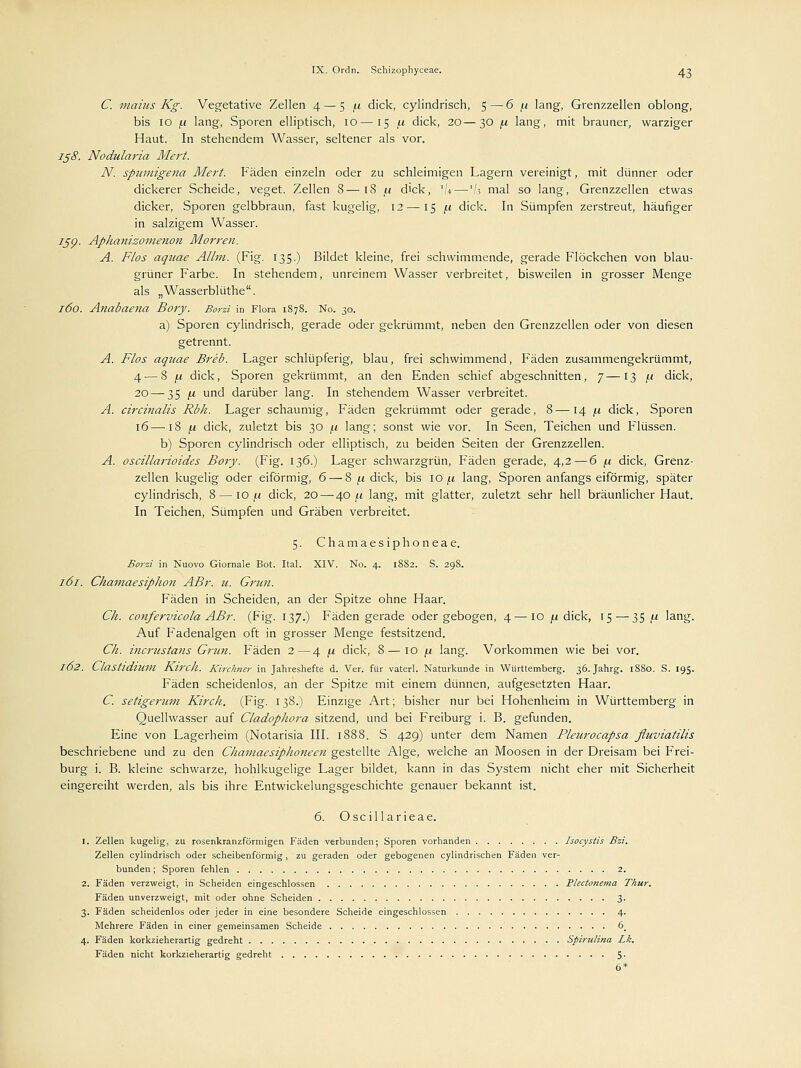 C. malus Kg. Vegetative Zellen 4 — 5 (.1 dick, cylindrisch, 5—6 (.1 lang, Grenzzellen oblong, bis 10 f.i lang, Sporen elliptisch, 10—15 /.i dick, 20—30 /.i lang, mit brauner, warziger Haut. In stehendem Wasser, seltener als vor. 158. Nodularia Mert. N. spumigena Mert. Fäden einzeln oder zu schleimigen Lagern vereinigt, mit dünner oder dickerer Scheide, veget. Zellen 8—18 u dick, 1U—'/3 mal so lang, Grenzzellen etwas dicker, Sporen gelbbraun, fast kugelig, 12— 15 /.i dick. In Sümpfen zerstreut, häufiger in salzigem Wasser. 75p. Aphanizomenon Morren. A. Flos aquae Allm. (Fig. 135.) Bildet kleine, frei schwimmende, gerade Flöckchen von blau- grüner Farbe. In stehendem, unreinem Wasser verbreitet, bisweilen in grosser Menge als „Wasserblüthe. 160. Anabaena Bory. Borzi in Flora 1878. No. 30. a) Sporen cylindrisch, gerade oder gekrümmt, neben den Grenzzellen oder von diesen getrennt. A. Flos aquae Breb. Lager schlüpferig, blau, frei schwimmend, Fäden zusammengekrümmt, 4 — 8 f.i dick, Sporen gekrümmt, an den Enden schief abgeschnitten, 7—13 /.t dick, 20 — 35 fx und darüber lang. In stehendem Wasser verbreitet. A. clrclnalls Rbh. Lager schaumig, Fäden gekrümmt oder gerade, 8—14 /.i dick, Sporen 16—18 ix dick, zuletzt bis 30 f.i lang; sonst wie vor. In Seen, Teichen und Flüssen. b) Sporen cylindrisch oder elliptisch, zu beiden Seiten der Grenzzellen. A. osclllarioid.es Bory. (Fig. 136.) Lager schwarzgrün, Fäden gerade, 4,2—6 y. dick, Grenz- zellen kugelig oder eiförmig, 6 — 8 /.i dick, bis 10 (.1 lang, Sporen anfangs eiförmig, später cylindrisch, 8 — 10 /.i dick, 20 — 40 /.i lang, mit glatter, zuletzt sehr hell bräunlicher Haut. In Teichen, Sümpfen und Gräben verbreitet. 5. Chamaesiphoneae. Borzi in Nuovo Giornale Bot. Ital. XIV. No. 4. 1882. S. 298. 161. Chamaesiphon ABr. u. Grün. Fäden in Scheiden, an der Spitze ohne Haar. Ck. confervlcola ABr. (Fig. 137.) Fäden gerade oder gebogen, 4—10 /.t dick, 15 — 35 /-i lang. Auf Fadenalgen oft in grosser Menge festsitzend. Ck. lncrusta?is Grün. Fäden 2—4 \i dick, 8 — 10 f.t lang. Vorkommen wie bei vor. 162. Clastldllim Kirch. Kirchner in Jahreshefte d. Ver. für vaterl. Naturkunde in Württemberg. 36. Jahrg. 1880. S. 195. Fäden scheidenlos, an der Spitze mit einem dünnen, aufgesetzten Haar. C. setlgerum Kirch. (Fig. 138.) Einzige Art; bisher nur bei Hohenheim in Württemberg in Quellwasser auf Cladopliora sitzend, und bei Freiburg i. B. gefunden. Eine von Lagerheim (Notarisia III. 1888. S. 429) unter dem Namen Pleurocapsa fluvlatllls beschriebene und zu den Chamaeslphoneen gestellte Alge, welche an Moosen in der Dreisam bei Frei- burg i. B. kleine schwarze, hohlkugelige Lager bildet, kann in das System nicht eher mit Sicherheit eingereiht weiden, als bis ihre Entwicklungsgeschichte genauer bekannt ist. 6. Oscil larieae. 1. Zellen kugelig, zu rosenkranzförmigen Fäden verbunden; Sporen vorhanden Isocystis Bzi. Zellen cylindrisch oder scheibenförmig, zu geraden oder gebogenen cylindrischen Fäden ver- bunden ; Sporen fehlen 2. 2. Fäden verzweigt, in Scheiden eingeschlossen Plectonema Thur. Fäden unverzweigt, mit oder ohne Scheiden 3. 3. Fäden scheidenlos oder jeder in eine besondere Scheide eingeschlossen 4. Mehrere Fäden in einer gemeinsamen Scheide 6_ 4. Fäden korkzieherartig gedreht Spiralina Lk. Fäden nicht korkzieherartig gedreht 5' 6*