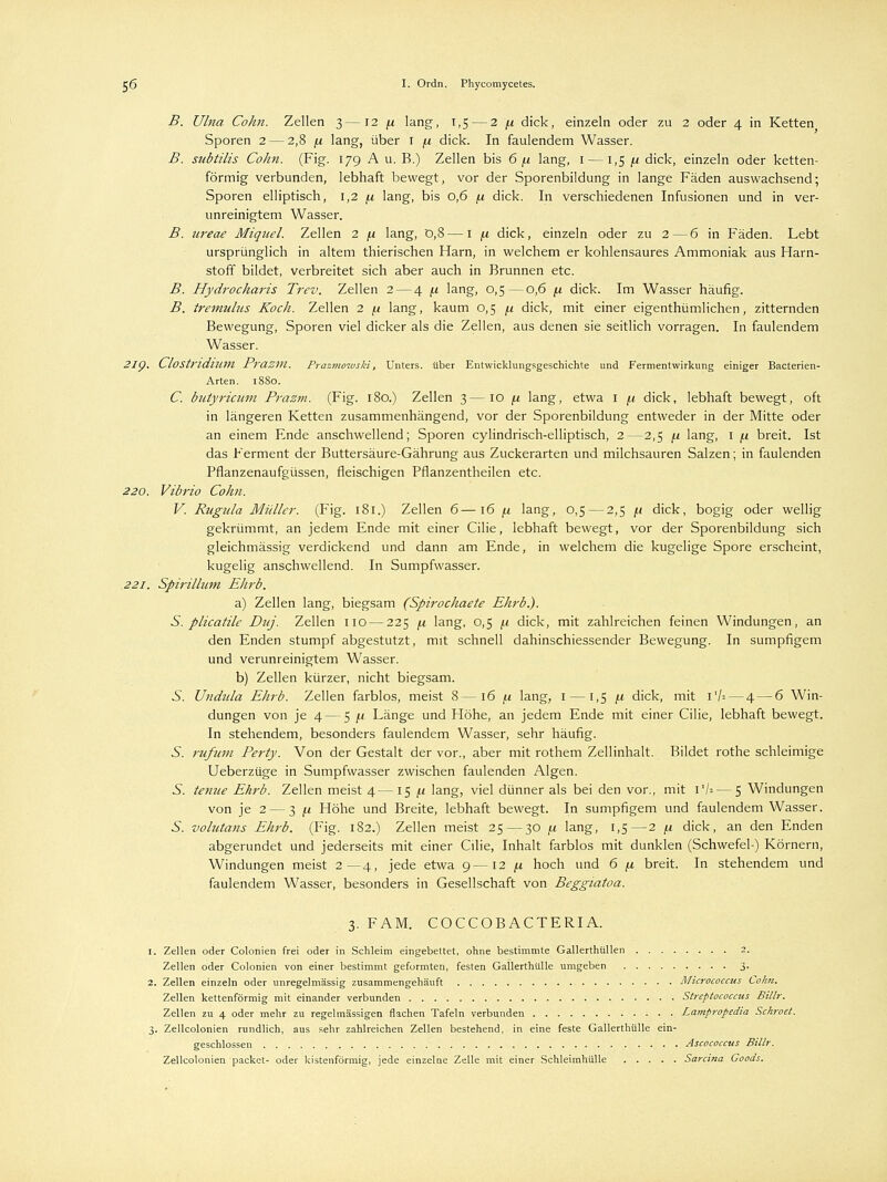 B. Ulna Cohn. Zellen 3—12 (i lang, 1,5 — 2 ja dick, einzeln oder zu 2 oder 4 in Ketten Sporen 2 — 2,8 fi lang, über 1 ,u dick. In faulendem Wasser. B. subtilis Cohn. (Fig. 179 A u. B.) Zellen bis 6 /a lang, 1 — 1,5 /a dick, einzeln oder ketten- förmig verbunden, lebhaft bewegt, vor der Sporenbildung in lange Fäden auswachsend; Sporen elliptisch, 1,2 f.i lang, bis 0,6 [a dick. In verschiedenen Infusionen und in ver- unreinigtem Wasser. B. ureae Miquel. Zellen 2 (i lang, 0,8 — 1 fi dick, einzeln oder zu 2—6 in Fäden. Lebt ursprünglich in altem thierischen Harn, in welchem er kohlensaures Ammoniak aus Harn- stoff bildet, verbreitet sich aber auch in Brunnen etc. B. Hydrocharis Trev. Zellen 2 — 4 fj. lang, 0,5—0,6 [i dick. Im Wasser häufig. B. tremulus Kocli. Zellen 2 ja lang, kaum 0,5 ja dick, mit einer eigenthümlichen, zitternden Bewegung, Sporen viel dicker als die Zellen, aus denen sie seitlich vorragen. In faulendem Wasser. 2ip. Clostridium PrClZm. Prazmowski, Unters, über Entwicklungsgeschichte und Fermentwirkung einiger Bacterien- Arten. 1880. C. butyricum Prazm. (Fig. 180.) Zellen 3—10 ja lang, etwa 1 \.i dick, lebhaft bewegt, oft in längeren Ketten zusammenhängend, vor der Sporenbildung entweder in der Mitte oder an einem Ende anschwellend; Sporen cylindrisch-elliptisch, 2—2,5 fi lang, 1 \.i breit. Ist das Ferment der Buttersäure-Gährung aus Zuckerarten und milchsauren Salzen; in faulenden Pflanzenaufgüssen, fleischigen Pflanzentheilen etc. 220. Vibrio Cohn. V. Rugula Müller. (Fig. 181.) Zellen 6—16 /a lang, 0,5 — 2,5 ;< dick, bogig oder wellig gekrümmt, an jedem Ende mit einer Cilie, lebhaft bewegt, vor der Sporenbildung sich gleichmässig verdickend und dann am Ende, in welchem die kugelige Spore erscheint, kugelig anschwellend. In Sumpfwasser. .221. Spirillum Ehrb. a) Zellen lang, biegsam (Spirochaete Ekrb.). S. plicatile Duj. Zellen 110 — 225 /a lang, 0,5 /.i dick, mit zahlreichen feinen Windungen, an den Enden stumpf abgestutzt, mit schnell dahinschiessender Bewegung. In sumpfigem und verunreinigtem Wasser. b) Zellen kürzer, nicht biegsam. 5. Undula Ehrb. Zellen farblos, meist 8—16 fi lang, 1 —1,5 /.i dick, mit I'A — 4 — 6 Win- dungen von je 4—5 j.i Länge und Höhe, an jedem Ende mit einer Cilie, lebhaft bewegt. In stehendem, besonders faulendem Wasser, sehr häufig. 5. rufum Perty. Von der Gestalt der vor., aber mit rothem Zellinhalt. Bildet rothe schleimige Ueberzüge in Sumpfwasser zwischen faulenden Algen. 5. tefiue Ehrb. Zellen meist 4—15 ft lang, viel dünner als bei den vor., mit VU — 5 Windungen von je 2 — 3 f.i Höhe und Breite, lebhaft bewegt. In sumpfigem und faulendem Wasser. 5. volutans Ehrb. (Fig. 182.) Zellen meist 25 — 30 11 lang, [,5—2 /.i dick, an den Enden abgerundet und jederseits mit einer Cilie, Inhalt farblos mit dunklen (Schwefel-) Körnern, Windungen meist 2—4, jede etwa 9—12 ja. hoch und 6 [a breit. In stehendem und faulendem Wasser, besonders in Gesellschaft von Beggiatoa. 3. FAM. COCCOBACTERIA. 1. Zellen oder Colonien frei oder in Schleim eingebettet, ohne bestimmte Gallerthüllen 2. Zellen oder Colonien von einer bestimmt geformten, festen Gallerthülle umgeben 3. 2. Zellen einzeln oder unregelmässig zusammengehäuft Micrococcus Cohn. Zellen kettenförmig mit einander verbunden Streptococcus Billr. Zellen zu 4 oder mehr zu regelmässigen flachen Tafeln verbunden Lampropedia Schroet. 3. Zellcolonien rundlich, aus sehr zahlreichen Zellen bestehend, in eine feste Gallerthülle ein- geschlossen Ascococcus Billr. Zellcolonien packet- oder kistenförmig, jede einzelne Zelle mit einer Schleimhülle Sarcina Goods.