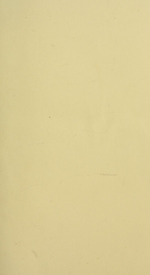 digitised image 3