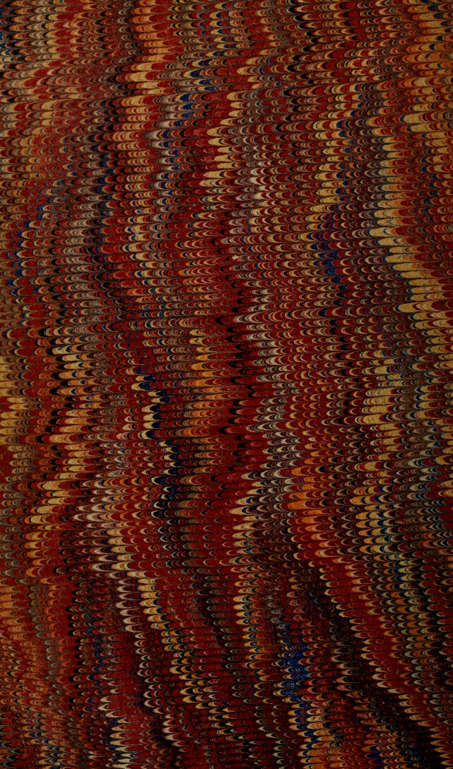 No text description is available for this image