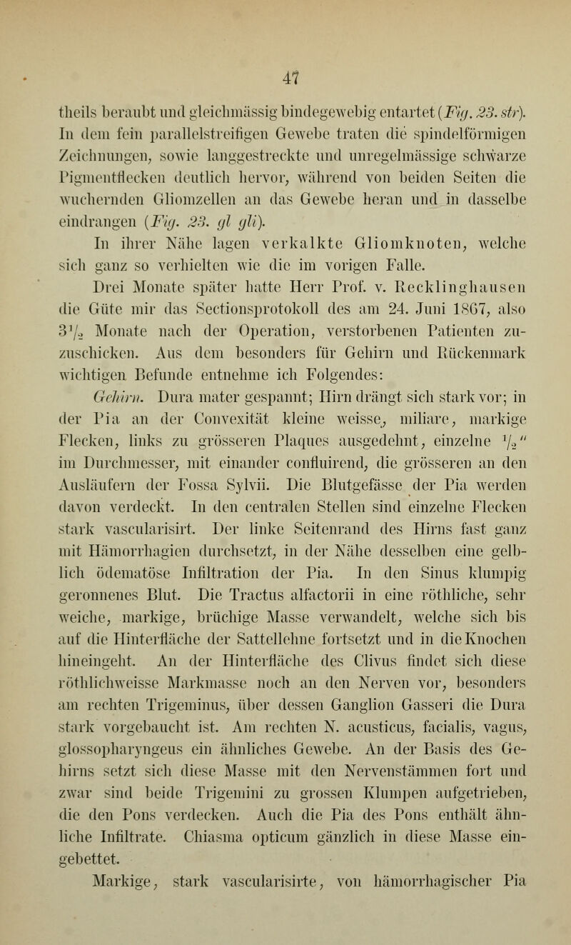 4? theils beraubt und gleichmassig bindegewebig entartet (Fig. 23. str). In dem fein parallelstreifigen Gewebe traten die spindelförmigen Zeichnungen; sowie langgestreckte und unregelmässige schwarze Pigmentflecken deutlich hervor, während von beiden Seiten die wuchernden Gliomzellen an das Gewebe heran und in dasselbe eindrangen (Fig. 23. gl gli). In ihrer Nähe lagen verkalkte Gliomknoten, welche sich ganz so verhielten wie die im vorigen Falle. Drei Monate später hatte Herr Prof. v. Recklinghausen die Güte mir das Sectionsprotokoll des am 24. Juni 1SG7; also 31/., Monate nach der Operation, verstorbenen Patienten zu- zuschicken. Aus dem besonders für Gehirn und Rückenmark wichtigen Befunde entnehme ich Folgendes: Gehirn. Dura mater gespannt; Hirn drängt sich stark vor; in der Pia an der Convexität kleine weisse, miliare, markige Flecken, links zu grösseren Plaques ausgedehnt, einzelne % im Durchmesser, mit einander confluirend, die grösseren an den Ausläufern der Fossa Sylvii. Die Blutgefässe der Pia werden davon verdeckt, In den centralen Stellen sind einzelne Flecken stark vascularisirt. Der linke Seitenrand des Hirns fast ganz mit Hämorrhagien durchsetzt, in der Nähe desselben eine gelb- lich ödematöse Infiltration der Pia. In den Sinus klumpig geronnenes Blut. Die Tractus alfactorii in eine röthliche, sehr weiche, markige, brüchige Masse verwandelt, welche sich bis auf die Hinterfläche der Sattellehne fortsetzt und in die Knochen hineingeht. An der Hinterfläche des Clivus findet sich diese röthlichweisse Markmasse noch an den Nerven vor, besonders am rechten Trigeminus, über dessen Ganglion Gasseri die Dura stark vorgebaucht ist. Am rechten N. acusticus, facialis, vagus, glossopharyngeus ein ähnliches Gewebe. An der Basis des Ge- hirns setzt sich diese Masse mit den Nervenstämmen fort und zwar sind beide Trigemini zu grossen Klumpen aufgetrieben, die den Pons verdecken. Auch die Pia des Pons enthält ähn- liche Infiltrate. Chiasma opticum gänzlich in diese Masse ein- gebettet. Markige, stark vascularisirte, von hämorrhagischer Pia