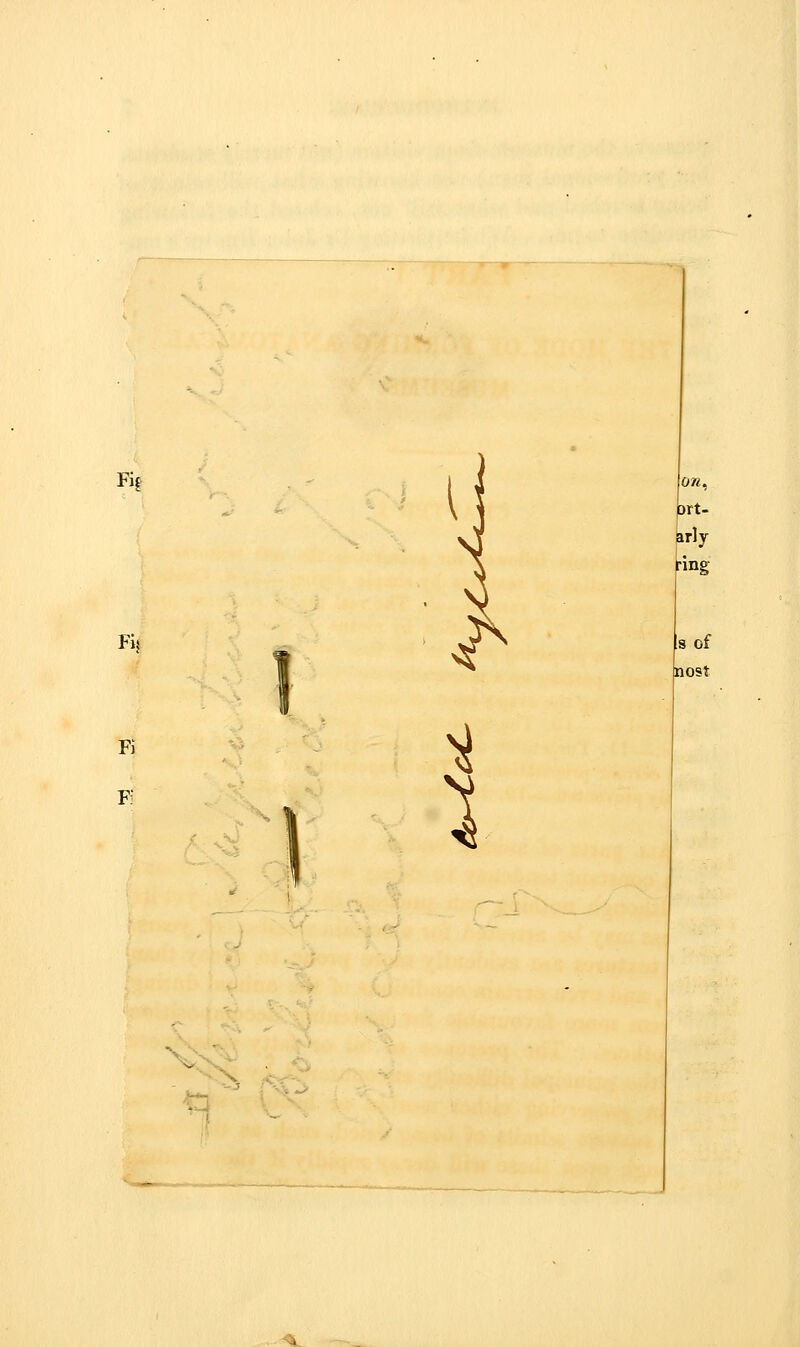 Fi| t)rt. arly ring 1 1 i Is of nost ^