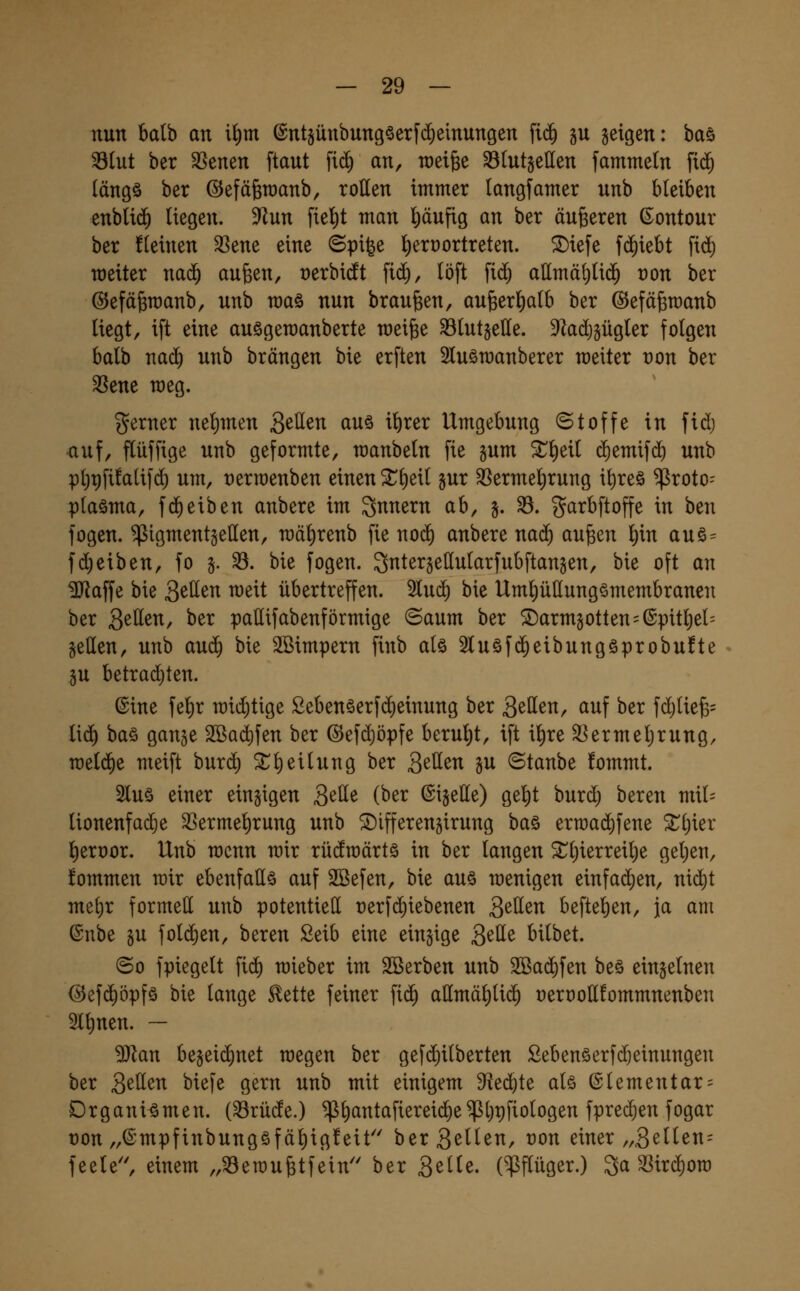 nun balb an i^m ©nt§ünbung§erf(^einungen fic^ gu geigen: baö S(ut ber SSenen ftaut fi^ an, rceifee ^(utjeüen fammetn fi(^ (ängö ber ©efäferaanb, rotten immer tangfamer unb bleiben enbli(^ liegen. D^^un fiel)t man pufig an ber äußeren ßontour ber fteinen 33ene eine ©pi^e l)ert)ortreten. ^iefe fd^iebt fi(^ weiter naä) aufeen, t)erbicft \id), löft fi(^ attmä^lid^ von ber ©efä^manb, unb maö nun brausen, au§erl)alb ber ©efäferaanb liegt, ift eine auögemanberte mei^e ^lutgette. 9lad)gügler folgen balb na(^ unb brängen bie erften Sluömanberer meiter üon ber 3Sene meg. gerner nel)men S^U^n auö ibrer Umgebung ©toffe in fid) auf, flüffige unb geformte, manbeln fie gum ^lieil c^emifd) unb pljpfüalifd) um, üerraenben einen ^b^^^ S^^ 5ßermel)rung ibreö ^roto-- pla§ma, fd^eiben anbere im Innern ab, §. 33. garbftoffe in ben fogen. ^igmentgetten, mäbrenb fie no^ anbere nad^ aufeen bitt auö= fd)eiben, fo §. 33. bie fogen. Sntergettularfubftansen, bie oft an ^affe bie Bitten meit übertreffen. 5lu(^ bie Umbüttungömembranen ber Setten, ber pattifabenförmige 6aum ber ^armgotten^ßpitbel^ getten, unb auc^ bie äBimpern finb alö 5luöf(5eibungöprobu!te gu betrad)ten. ©ine fel)r mii^tige ßebenöerfd^einung ber Q^\i^n, auf ber fd)lie6= lid) baö gange Sßad^fen ber @efd)öpfe berul^t, ift ibre S^ermebrung, meldte meift bur(^ ^b^^^wng ber QzUtn gu ©taube !ommt. 2luö einer einzigen S^^e (ber ©igette) gebt hnx6) bereu mil= lionenfadje 35ermebrung unb ^ifferengirung baö ern)ad)fene '^i)kx beroor. Unb mcnn mir rüdroärtö in ber langen Sübierrei^e geben, fommen mir ebenfatts auf 2Befen, bie au§ menigen einfad)en, ni($t mebr formett unb potentiett rerfd^iebenen Sitten befteben, ja am ©nbe §u fold^en, bereu Seib eine einzige S^ü^ bilbet. ©0 fpiegelt fid) mieber im Sterben unb 2Ba(^fen beö einzelnen @ef(^öpfö bie lange Eette feiner fid) attmä^lid^ t)ert)ottfommnenben 2lbnen. — 5}lan be§ei(5net rcegen ber gefd)ilberten £ebenöerfd)einungen ber Sollen biefe gern unb mit einigem Sf^ed^te alö Elementar = Organismen, (^rüde.) ^b^^tafiereii^e$l)t)ftologen fprec^en fogar ton „(^'mpfinbungöfäbig'^eit berS^^^tt, t)on einer „3eilen= feele'', einem „33emu6tfein''ber 3^^^ß- (¥flüger.) 3a 33ird)ora