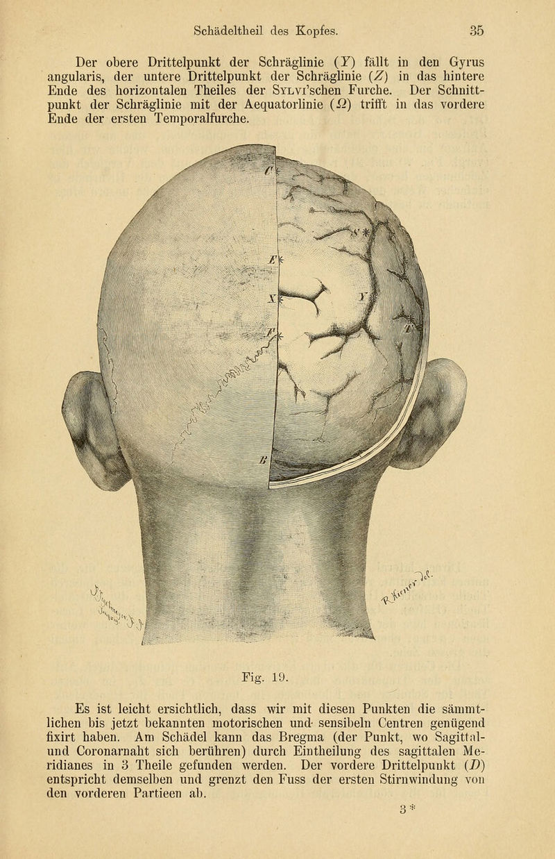 Der obere Drittelpunkt der Schräglinie (Y) fällt in den Gyrus angularis, der untere Drittelpunkt der Schräglinie (Z) in das hintere Ende des horizontalen Theiles der SYLvi'schen Furche. Der Schnitt- punkt der Schräglinie mit der Aequatorlinie (£?) trifft in das vordere Ende der ersten Temporalfurche. =|^Äf* j^i ><• * Fig. 19. Es ist leicht ersichtlich, dass wir mit diesen Punkten die sämmt- lichen bis jetzt bekannten motorischen und- sensibeln Centren genügend fixirt haben. Am Schädel kann das Bregma (der Punkt, wo Sagittal- und Coronarnaht sich berühren) durch Eintheilung des sagittalen Me- ridianes in 3 Theile gefunden werden. Der vordere Drittelpunkt (D) entspricht demselben und grenzt den Fuss der ersten Stirnwindung von den vorderen Partieen ab. 3*