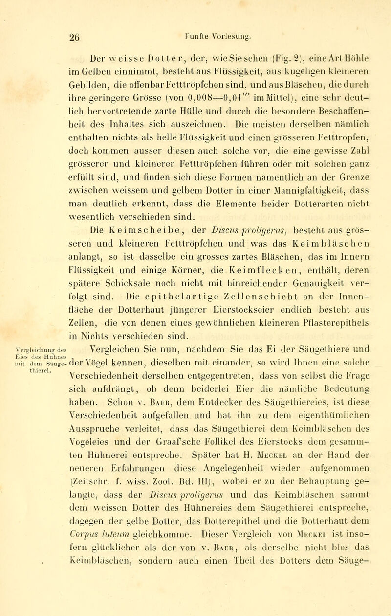 Der weisse Dotter, der, wie Sie sehen (Fig. 2), eine Art Höhle im Gelben einnimmt, besteht ans Flüssigkeit, aus kugeligen kleineren Gebilden, die offenbar Fetttröpfchen sind, und aus Bläschen, die durch ihre geringere Grösse (von 0,008—0,01' im Mittel), eine sehr deut- lich hervortretende zarte Hülle und durch die besondere Beschaffen- heit des Inhaltes sich auszeichnen. Die meisten derselben nämlich enthalten nichts als helle Flüssigkeit und einen grösseren Felttropfen, doch kommen ausser diesen auch solche vor, die eine gewisse Zahl grösserer und kleinerer Fetttröpfchen führen oder mit solchen ganz erfüllt sind, und finden sich diese Formen namentlich an der Grenze zwischen weissem und gelbem Dotter in einer Mannigfaltigkeit, dass man deutlich erkennt, dass die Elemente beider Dotterarten nicht wesentlich verschieden sind. Die Keimscheibe, der Discus proligerus, besteht aus grös- seren und kleineren Fetttröpfchen und was das Keimbläschen anlangt, so ist dasselbe ein grosses zartes Bläschen, das im Innern Flüssigkeit und einige Körner, die Keimflecken, enthält, deren spätere Schicksale noeh nicht mit hinreichender Genauigkeit ver- folgt sind. Die epithelartige Zellenschicht an der Innen- fläche der Dotterhaut jüngerer Eierstockseier endlich besteht aus Zellen, die von denen eines gewöhnlichen kleineren Pflasterepithels in Nichts verschieden sind. vergieichung des Vergleichen Sie nun, nachdem Sie das Ei der Säugethiere und mit dem säuge-der Vögel kennen, dieselben mit einander, so wird Ihnen eine solche Verschiedenheit derselben entgegentreten, dass von selbst die Frage sich aufdrängt, ob denn beiderlei Eier die nämliche Bedeutung haben. Schon v. Baer, dem Entdecker des Säugethiereies, ist diese Verschiedenheit aufgefallen und hat ihn zu dem eigenthümlichen Ausspruche verleitet, dass das Säugethierei dem Keimbläschen des Voseleies und der Graafsche Follikel des Eierstocks dem eesamm- ten Hühnerei entspreche. Später hat H. Mjbckel an der Hand der neueren Erfahrungen diese Angelegenheit wieder aufgenommen (Zeitschr. f. wiss. Zool. Bd. III), wobei er zu der Behauptung ge- langte, dass der Discus proligerus und das Keimbläschen sammt dem weissen Dotter des Hühnereies dem Säugethierei entspreche, dagegen der gelbe Dotter, das Dotterepithel und die Dotterhaut dem Corpus luteum gleichkomme. Dieser Vergleich von Meckel ist inso- fern glücklicher als der von v. Baer, als derselbe nicht blos das Keimbläschen, sondern auch einen Theil des Dotters dem Säime-