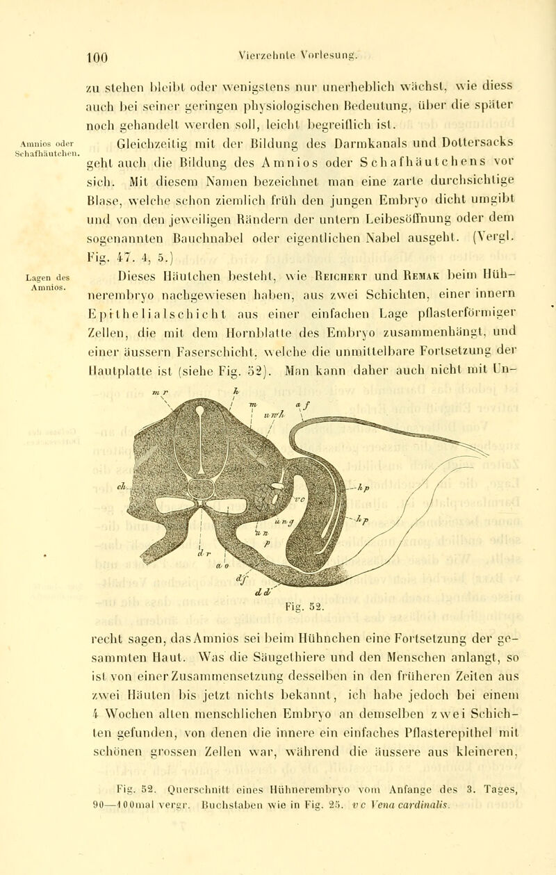 Amnios oder Schafhäutchen, Lagen des Amnios. zu stehen bleibt oder wenigstens nur unerheblich wachst, wie diess auch bei seiner geringen physiologischen Bedeutung, über die später noch gehandelt werden soll, leicht begreiflich ist. Gleich/eilig mit der Bildung des Darmkanals und Doltersaeks gehtauch die Bildung des Amnios oder S chafhäutch ens vor sich. Mit diesem Namen bezeichnet man eine zarte durchsichtige Blase, welche schon ziemlich früh den jungen Embryo dicht umgibt und von den jeweiligen Rändern der untern Leibesöffnung oder dem sogenannten Banchnabel oder eigentlichen Nabel ausgeht. (Yergl. Fig. 47. 4, 5.) Dieses Häutchen besteht, wie Beichert und Remak beim Hüh- nerembryo nachgewiesen haben, aus zwei Schichten, einer innern Epi thelialschicht aus einer einfachen Lage pflaslerförmiger Zellen, die mit dem Hornblatte des Embryo zusammenhängt, und einer äussern Faserschicht, welche die unmittelbare Fortsetzung der Hautplatte ist (siehe Fig. 52). Man kann daher auch nicht mit Un- m r h dd/ Fig. 52. recht sagen, das Amnios sei beim Hühnchen eine Fortsetzung der ge- sammten Haut. Was die Säugethiere und den Menschen anlangt, so ist von einer Zusammensetzung desselben in den früheren Zeiten aus zwei Häuten bis jetzt nichts bekannt, ich habe jedoch bei einem i Wochen allen menschlichen Embryo an demselben zwei Schich- ten gefunden, von denen die innere ein einfaches Pflasterepithel mit schönen grossen Zellen war, während die äussere aus kleineren, Fig. 52. Querschnitt eines Hühnerembryo vom Anfange des 3. Tages, 90—lOOmal vergr. Buchslaben wie in Fig. 25. vc Vena cardinalis.