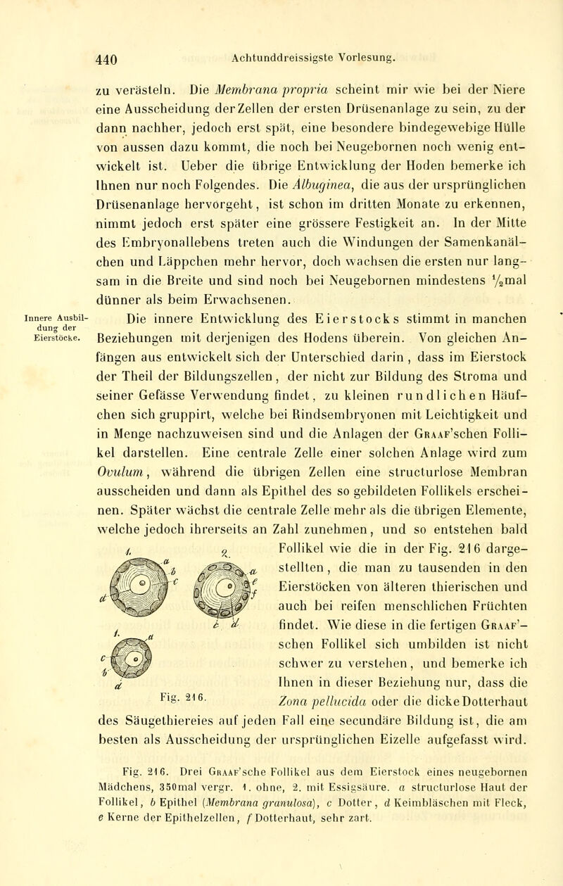 zu verästeln. Die Membrana propria scheint mir wie bei der Niere eine Ausscheidung der Zellen der ersten Drüsenanlage zu sein, zu der dann nachher, jedoch erst spät, eine besondere bindegewebige Hülle von aussen dazu kommt, die noch bei Neugebornen noch wenig ent- wickelt ist. Ueber die übrige Entwicklung der Hoden bemerke ich Ihnen nur noch Folgendes. Die Albuginea, die aus der ursprünglichen Drüsenanlage hervorgeht, ist schon im dritten Monate zu erkennen, nimmt jedoch erst später eine grössere Festigkeit an. In der Mitte des Embryonallebens treten auch die Windungen der Samenkanäl- chen und Läppchen mehr hervor, doch wachsen die ersten nur lang- sam in die Breite und sind noch bei Neugebornen mindestens %mal dünner als beim Erwachsenen, innere Ausbu- Dje innere Entwicklung des Eierstocks stimmt in manchen düng der Eierstöcke. Beziehungen mit derjenigen des Hodens überein. Von gleichen An- fängen aus entwickelt sich der Unterschied darin , dass im Eierstock der Theil der Bildungszellen, der nicht zur Bildung des Stroma und seiner Gefässe Verwendung findet, zu kleinen run dl ich en Häuf- chen sich gruppirt, welche bei Bindsembryonen mit Leichtigkeit und in Menge nachzuweisen sind und die Anlagen der GRAAF'schen Folli- kel darstellen. Eine centrale Zelle einer solchen Anlage wird zum Ovulum, während die übrigen Zellen eine structurlose Membran ausscheiden und dann als Epithel des so gebildeten Follikels erschei- nen. Später wächst die centrale Zelle mehr als die übrigen Elemente, welche jedoch ihrerseits an Zahl zunehmen, und so entstehen bald Follikel wie die in der Fig. 216 darge- stellten , die man zu tausenden in den Eierstöcken von älteren thierischen und auch bei reifen menschlichen Früchten findet. Wie diese in die fertigen GRAAF'- schen Follikel sich umbilden ist nicht schwer zu verstehen, und bemerke ich Ihnen in dieser Beziehung nur, dass die Zona pellucida oder die dicke Dotterhaut des Säugethiereies auf jeden Fall eine secundäre Bildung ist, die am besten als Ausscheidung der ursprünglichen Eizelle aufgefasst wird. Fig. 216. Drei GRAAF'sche Follikel aus dem Eierstock eines neugebornen Mädchens, 350mal vergr. 1. ohne, 2. mit Essigsäure, a structurlose Haut der Follikel, 6 Epithel [Membrana granulosa), c Dotter, dl Keimbläschen mit Fleck, e Kerne der Epithelzellen, /'Dotterhaut, sehr zart.