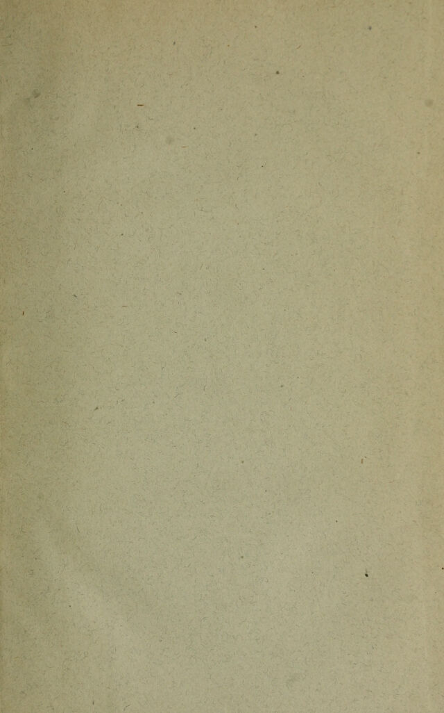digitised image 3
