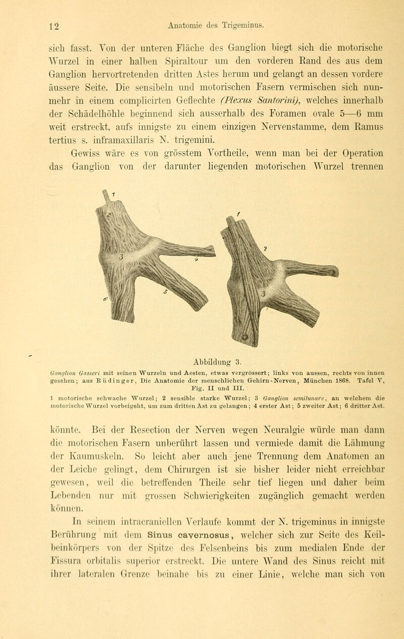 sich fasst. Von der unteren Fläclie des Ganglion biegt sich die motorische Wurzel in einer halben Spiraltom um den vorderen Rand des aus dem Ganglion hervortretenden dritten Astes herum und gelangt an dessen vordere äussere Seite. Die sensibeln und motorischen Fasern vermischen sich nun- mehr in einem complicirten Geflechte (Plexus Santorini), welches innerhalb der Schädelhöhle beginnend sich ausserhalb des Foramen ovale 5—6 mm weit erstreckt, aufs innigste zu einem einzigen ISTervenstamme, dem Ramus tertius s. inframaxillaris IST. trigemini. Gewiss wäre es von gTÖsstem Vortheile, wenn man bei der Operation das Ganglion von der darunter liegenden motorischen Wurzel tremien Abbildung 3. Guntjlion Gasseri mit aeineii Wurzeln und Aesten, etwas vergröasert; links von aussen, rechts von innen gesehen; aus Eüdinger, Die Anatomie der menschlichen Gehirn-Nerven, München 1868. Tafel V, Fig. II und III. 1 motorische schwache Wurzel; 2 sensible starke Wurzel; 3 Ganglion semilunare, au welchem die motorische Wurzel vorbeigeht, um zum dritten Ast zu gelangen; 4 erster Ast; 5 zweiter Ast; 6 dritter Ast. konnte. Bei der Resection der Nerven wegen Neuralgie würde man dann die motorischen Fasern unberührt lassen und vermiede damit die Lähmung der Kaumuskeln. So leicht aber auch jene Trennung dem Anatomen an der Leiche gelingt, dem Chirurgen ist sie bisher leider nicht erreichbar gewesen, weil die betreffenden Theile sehr tief liegen und daher beim Lel)enden nur mit grossen Schwierigkeiten zugänglich gemacht werden In seinem intracraniellen Verlaufe kommt der N. trigemiuus in innigste liciiilirung mit dem Sinus cavernosus, welcher sich zur Seite des Keil- beinkörpers von dei- Si)itze des Felsenbeins bis zum medialen Ende der Fissura orbitalis superior erstreckt. Die untere Wand des Sinus reicht mit ilirei- lateralen Grenze beinahe bis zu einer Linie, Avelche man sich von