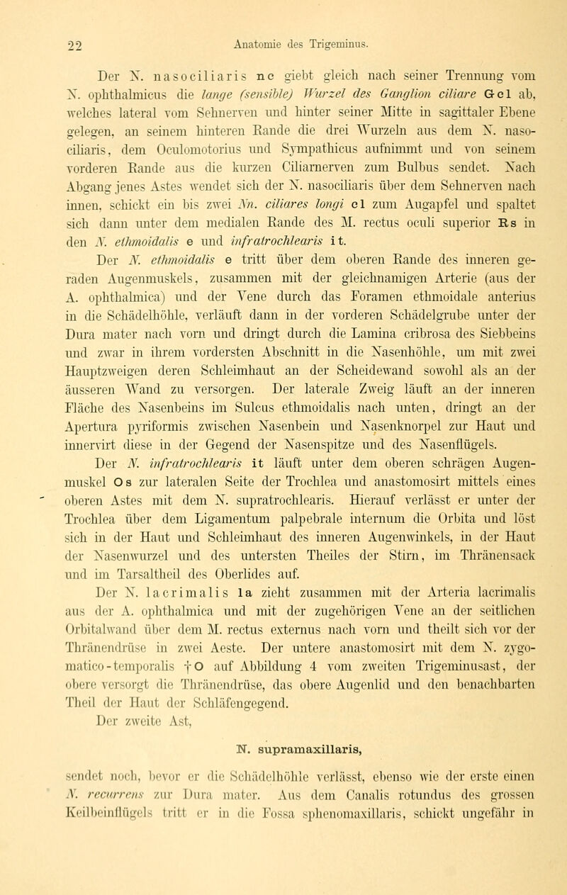 Der X. nasociliaris ne giebt gleich nach seiner Trennung vom X. ophthahnicus die lange (sensible) Wurzel des Ganglion ciliare Gel ab, welches lateral vom Sehnerven und hinter seiner Mitte in sagittaler Ebene gelegen, an seinem hinteren Eande die drei Wurzeln aus dem X. naso- ciliaris, dem Oculomotorius und Sympathicus aufnimmt und von seinem vorderen Kande aus die km-zen Ciliamerven zum Bulbus sendet. Xach Abgang jenes Astes wendet sich der X. nasociharis über dem Sehnerven nach innen, schickt ein bis zwei Nn. ciliares longi el zum Augapfel und spaltet sich dann unter dem medialen Eande des M. rectus oculi superior Rs in den N. eihmoidalis e und infrairochlearis it. Der N. ethmoidalis e tritt über dem oberen Rande des inneren ge- raden Augenmuskels, zusammen mit der gleichnamigen Arterie (aus der A. ophthalmica) und der Vene durch das Eoramen ethmoidale anterius in die Schädelhöhle, verläuft dann in der vorderen SchädelgTube unter der Dura mater nach vorn und dringt dm'ch die Lamina cribrosa des Siebbeius imd zwar in ihrem vordersten Abschnitt in die Xasenhöhle, mn mit zwei Hauptzweigen deren Schleimhaut an der Scheidewand sowohl als an der äusseren Wand zu versorgen. Der laterale Zweig läuft an der inneren Fläche des Xasenbeins im Sulctis ethmoidalis nach unten, dringt an der Apertura pyriformis zwischen Nasenbein und Xasenknorpel zur Haut und innervirt diese in der Gegend der Xasenspitze und des Xasenflügels. Der N. infratrochlearis it läuft unter dem oberen schrägen Augen- muskel O 8 zur lateralen Seite der Trochlea und anastomosirt mittels eines oberen Astes mit dem X. supratrochlearis. Hierauf verlässt er unter der Trochlea über dem Ligamentum palpebrale internum die Orbita und löst sich in der Haut und Schleimhaut des inneren Augenwinkels, in der Haut der Xasenwurzel und des untersten Theiles der Stirn, im Thränensack und im Tarsaltheil des Oberlides auf. Der X. lacrimalis la zieht zusammen mit der Arteria lacrimalis aus der A. ophthalmica und mit der zugehörigen Vene an der seitlichen Orbitalwand über dem M. rectus externus nach vom und theilt sich vor der Thräncndrüse in zwei Aeste. Der untere anastomosirt mit dem X. zygo- matico - tcmporaüs f O auf Abbildung 4 vom zweiten Trigeminusast, der obere versorgt die Thräncndrüse, das obere Augenlid und den benachbarten Theil der Haut der Schläfengegend. Der zweite Ast, N. supramaxillaris, sendet noch, bevor er die Schädclhöhle verlässt, ebenso wie der erste einen N. recurrens zur Dura mater. Aus dem Canalis rotundus des grossen Kcilbeinflügcls tritt er in die Fossa sphenomaxillaris, schickt ungefähr in