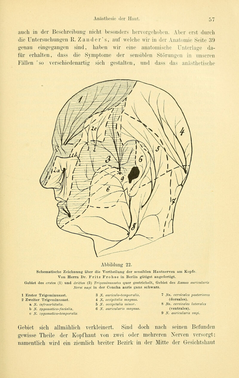 auch in der Beschreibung nicht besonders hervorgehoben. Aber erst durch die Untersuchungen K. Zander's, auf welche wir in der Anatomie Seite 39 genau eingegangen sind, haben wir eine anatomische Unterlage da- für erhalten, dass die Symptome der sensiblen Störungen in unseren Fällen 'so verschiedenartig sich gestalten, und dass das anästhetische Abbildung 22. Schematisclie Zeichnung über die Vertlieilung der sensiblen Hautnerven am Kopfe. Von Herrn Dr. Fritz Frohse in Berlin gütigst angefertigt. Gebiet des ersten (1) und dritten (3) Trigeminusastes quer gestrichelt, Gebiet des Ramus auricularis Nervi Vagi in der Concha auris ganz schwarz. 1 Erster Trigeminusast. 2 Zweiter Trigeminiisast. a N. infraorbitalis. b N. zygomatico-facialis. c N. zygomatico-temporalis. 3 N. auriculo-temporalis. 4 N. oecipiialis magnus. 5 JV. occipitalis minor. 6 N. auricularis magnus. 7 Nn. cervicales posteriores (dorsales). 8 Nn. cervicales laterales (ventrales). 9 N. auricularis vagi. Gebiet sich allmählich verkleinert. Sind doch nach seinen Befimden gewisse Theile der Kopfhaut von zwei oder mehreren Nerven versorgt; namentlich wird ein ziemlich breiter Bezirk in der Mtte der Gesichtshaut