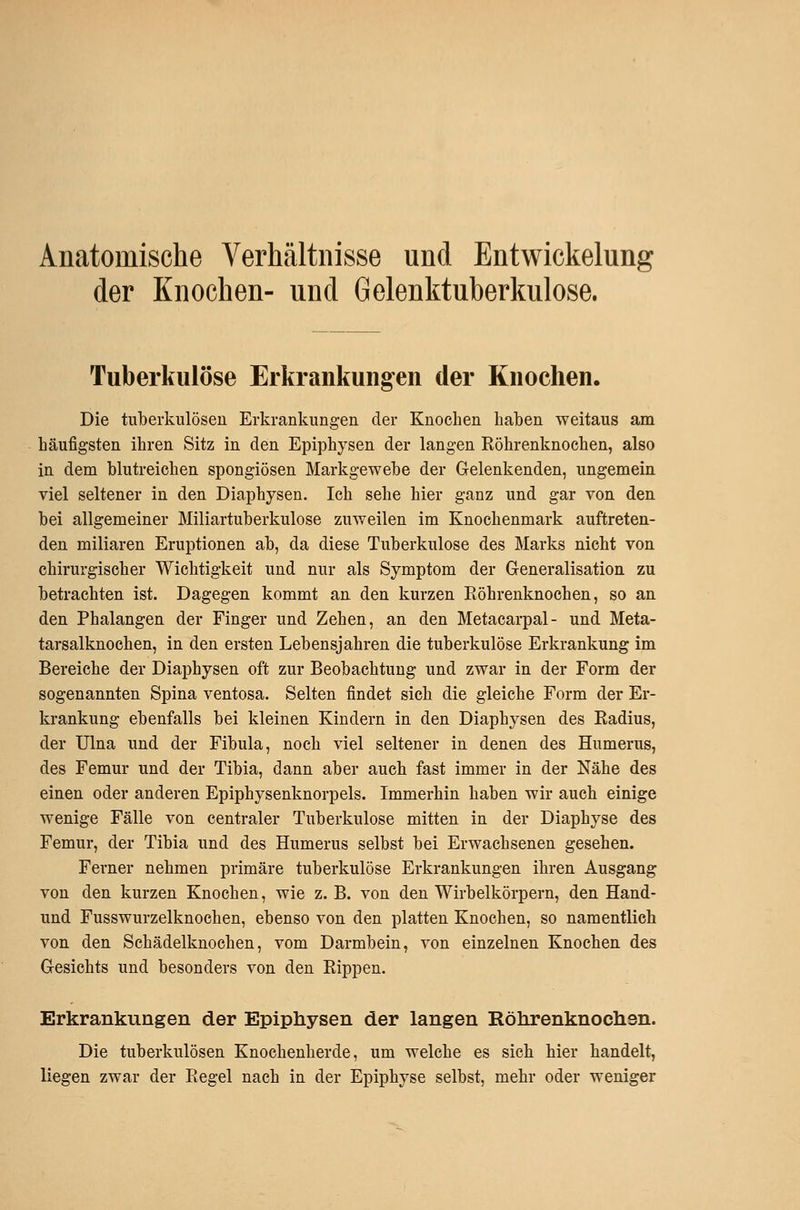 Anatomische Verhältnisse und Entwickelung der Knochen- und Gelenktuberkulose. Tuberkulöse Erkrankung^en der Knochen. Die tuberkulösen Erkrankungen der Knochen haben weitaus am häufigsten ihren Sitz in den Epiphysen der langen Eöhrenknoehen, also in dem blutreichen spongiösen Markgewebe der Gelenkenden, ungemein viel seltener in den Diaphysen. Ich sehe hier ganz und gar von den bei allgemeiner Miliartuberkulose zuweilen im Knochenmark auftreten- den miliaren Eruptionen ab, da diese Tuberkulose des Marks nicht von chirurgischer Wichtigkeit und nur als Symptom der G-eneralisation zu betrachten ist. Dagegen kommt an den kurzen Eöhrenknoehen, so an den Phalangen der Finger und Zehen, an den Metacarpal- und Meta- tarsalknochen, in den ersten Lebensjahren die tuberkulöse Erkrankung im Bereiche der Diaphysen oft zur Beobachtung und zwar in der Form der sogenannten Spina ventosa. Selten findet sich die gleiche Form der Er- krankung ebenfalls bei kleinen Kindern in den Diaphysen des Radius, der Ulna und der Fibula, noch viel seltener in denen des Humerus, des Femur und der Tibia, dann aber auch fast immer in der Nähe des einen oder anderen Epiphysenknorpels. Immerhin haben wir auch einige wenige Fälle von centraler Tuberkulose mitten in der Diaphyse des Femur, der Tibia und des Humerus selbst bei Erwachsenen gesehen. Ferner nehmen primäre tuberkulöse Erkrankungen ihren Ausgang von den kurzen Knochen, wie z. B. von den Wirbelkörpern, den Hand- und Fusswurzelknoehen, ebenso von den platten Knochen, so namentlich von den Schädelknochen, vom Darmbein, von einzelnen Knochen des Gesichts und besonders von den Rippen. Erkrankungen der Epiphysen der langen Röhrenknoclisn. Die tuberkulösen Knochenherde, um welche es sich hier handelt, liegen zwar der Regel nach in der Epiphyse selbst, mehr oder weniger