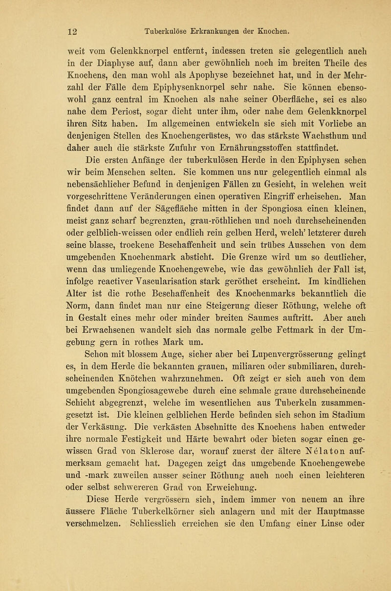 weit vom Gelenkknorpel entfernt, indessen treten sie gelegentlicli auch in der Diapliyse auf, dann aber gewöhnlich noch im breiten Theile des Knochens, den man wohl als Apophyse bezeichnet hat, und in der Mehr- zahl der Fälle dem Epiphysenknorpel sehr nahe. Sie können ebenso- wohl ganz central im Knochen als nahe seiner Oberfläche, sei es also nahe dem Periost, sogar dicht unter ihm, oder nahe dem Gelenkknorpel ihren Sitz haben. Im allgemeinen entwickeln sie sich mit Vorliebe an denjenigen Stellen des Knochengerüstes, wo das stärkste Wachsthum und daher auch die stärkste Zufuhr von Ernährungsstoffen stattfindet. Die ersten Anfänge der tuberkulösen Herde in den Epiphysen sehen wir beim Mensehen selten. Sie kommen uns nur gelegentlich einmal als nebensächlicher Befund in denjenigen Fällen zu Gesicht, in welchen weit vorgeschrittene Veränderungen einen operativen Eingriff erheischen. Man findet dann auf der Sägefläche mitten in der Spongiosa einen kleinen, meist ganz scharf begrenzten, grau-röthlichen und noch durchscheinenden oder gelblich-weissen oder endlich rein gelben Herd, welch' letzterer durch seine blasse, trockene Beschaffenheit und sein trübes Aussehen von dem umgebenden Knochenmark absticht. Die Grenze wird um so deutlicher, wenn das umliegende Knochengewebe, wie das gewöhnlich der Fall ist, infolge reactiver Vascularisation stark geröthet erscheint. Im kindlichen Alter ist die rothe Beschaffenheit des Knochenmarks bekanntlich die Norm, dann findet man nur eine Steigerung dieser Röthung, welche oft in Gestalt eines mehr oder minder breiten Saumes auftritt. Aber auch bei Erwachsenen wandelt sich das normale gelbe Fettmark in der Um- gebung gern in rothes Mark um. Schon mit blossem Auge, sicher aber bei Lupenvergrösserung gelingt es, in dem Herde die bekannten grauen, miliaren oder submiliaren, durch- scheinenden Knötchen wahrzunehmen. Oft zeigt er sieh auch von dem umgebenden Spongiosagewebe durch eine schmale graue durchscheinende Schicht abgegrenzt, welche im wesentlichen aus Tuberkeln zusammen- gesetzt ist. Die kleinen gelblichen Herde befinden sich schon im Stadium der Verkäsung. Die verkästen Abschnitte des Knochens haben entweder ihre normale Festigkeit und Härte bewahrt oder bieten sogar einen ge- wissen Grad von Sklerose dar, worauf zuerst der ältere Nelaton auf- merksam gemacht hat. Dagegen zeigt das umgebende Knochengewebe und -mark zuweilen ausser seiner Röthung auch noch einen leichteren oder selbst schwereren Grad von Erweichung. Diese Herde vergrössern sich, indem immer von neuem an ihre äussere Fläche Tuberkelkörner sich anlagern und mit der Hauptmasse verschmelzen. Schliesslich erreichen sie den Umfang einer Linse oder