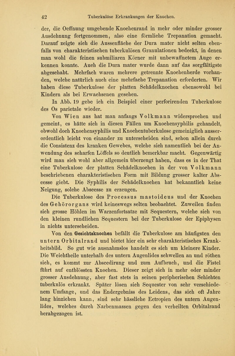 der, die Oeffnung umgebende Knochenrand in mehr oder minder grosser Ausdehnung fortgenommen, also eine förmliche Trepanation gemacht. Darauf zeigte sich die Aussenfläche der Dura mater nicht selten eben- falls von charakteristischen tuberkulösen Granulationen bedeckt, in denen man wohl die feinen submiliaren Körner mit unbewaffnetem Auge er- kennen konnte. Auch die Dura mater wurde dann auf das sorgfältigste abgeschabt. Mehrfach waren mehrere getrennte Knochenherde vorhan- den, welche natürlich auch eine mehrfache Trepanation erforderten. Wir haben diese Tuberkulose der platten Schädelknochen ebensowohl bei Kindern als bei Erwachsenen gesehen. In Abb. 19 gebe ich ein Beispiel einer perforirenden Tuberkulose des Os parietale wieder. Von Wien aus hat man anfangs Volkmann widersprochen und gemeint, es hätte sich in diesen Fällen um Knochensyphilis gehandelt, obwohl doch Knochensyphilis und Knochentuberkulose gemeiniglich ausser- ordentlich leicht von einander zu unterscheiden sind, schon allein durch die Consistenz des kranken Gewebes, welche sich namentlich bei der An- wendung des scharfen Löffels so deutlich bemerkbar macht. Gegenwärtig wird man sich wohl aber allgemein überzeugt haben, dass es in der That eine Tuberkulose der platten Schädelknochen in der von Volkmann beschriebenen charakteristischen Form mit Bildung grosser kalter Abs- cesse giebt. Die Syphilis der Schädelknochen hat bekanntlich keine Neigung, solche Abscesse zu erzeugen. Die Tuberkulose des Processus mastoideus und der Knochen des Gehörorgans wird keineswegs selten beobachtet. Zuweilen finden sich grosse Höhlen im Warzenfortsatze mit Sequestern, welche sich von den kleinen rundlichen Sequestern bei der Tuberkulose der Epiphysen in nichts unterscheiden. Von den Gesichtsknochen befällt die Tuberkulose am häufigsten den untern Orbitalrand und bietet hier ein sehr charakteristisches Krank- heitsbild. So gut wie ausnahmslos handelt es sich um kleinere Kinder. Die Weichtheile unterhalb des untern Augenlides schwellen an und röthen sich, es kommt zur Abscedirung und zum Aufbruch, und die Fistel führt auf entblössten Knochen. Dieser zeigt sich in mehr oder minder grosser Ausdehnung, aber fast stets in seinen peripherischen Schichten tuberkulös erkrankt. Später lösen sich Sequester von sehr verschiede- nem Umfange, und das Endergebniss des Leidens, das sich oft Jahre lang hinziehen kann, sind sehr hässliche Ectropien des untern Augen- lides, welches durch Narbenmassen gegen den verheilten Orbitalrand herabgezogen ist.