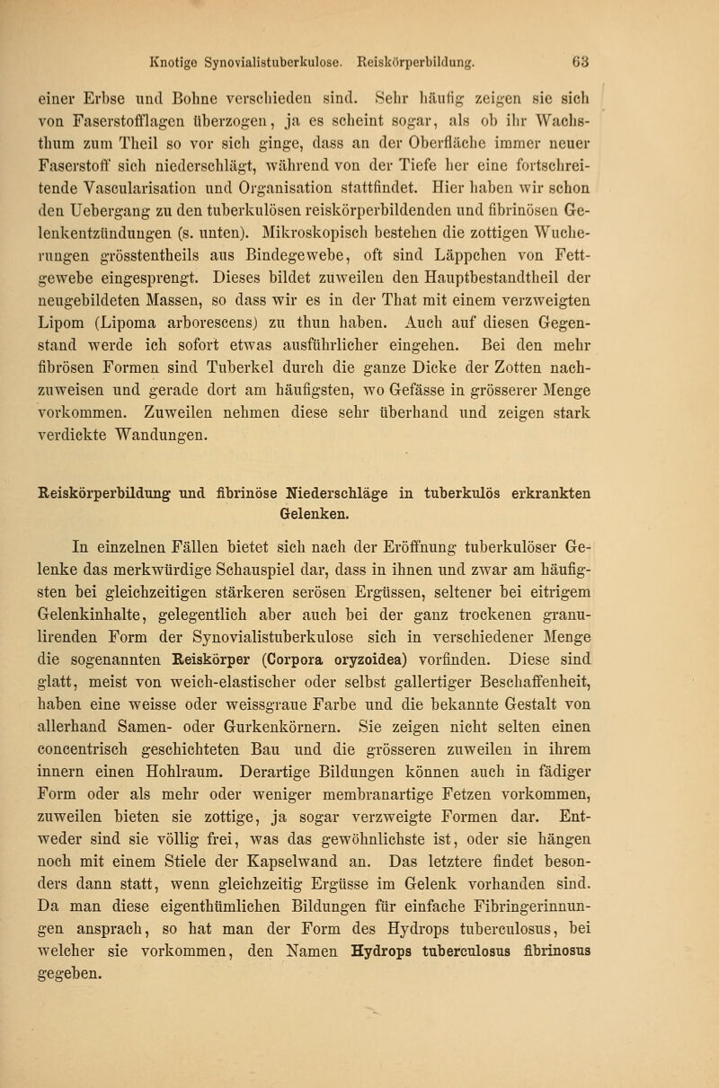 einer Erbse und Bohne verschieden sind. Sehr liäiifig zeigen sie sich von Faserstofflagen überzogen, ja es scheint sogar, als ob ihr Waehs- thum zum Theil so vor sich ginge, dass an der Oberfläche immer neuer Faserstoff sich niederschlägt, während von der Tiefe her eine fortschrei- tende Vascularisation und Organisation stattfindet. Hier haben wir schon den Uebergang zu den tuberkulösen reiskörperbildenden und fibrinösen Ge- lenkentzündungen (s. unten). Mikroskopisch bestehen die zottigen Wuche- rungen grösstentheils aus Bindegewebe, oft sind Läppchen von Fett- gewebe eingesprengt. Dieses bildet zuweilen den Hauptbestandtheil der neugebildeten Massen, so dass wir es in der That mit einem verzweigten Lipom (Lipoma arborescens) zu thun haben. Auch auf diesen Gegen- stand werde ich sofort etwas ausführlicher eingehen. Bei den mehr fibrösen Formen sind Tuberkel durch die ganze Dicke der Zotten nach- zuweisen und gerade dort am häufigsten, wo Gefässe in grösserer Menge vorkommen. Zuweilen nehmen diese sehr überhand und zeigen stark verdickte Wandungen. Reiskörperbildung und fibrinöse Niederschläge in tuberkulös erkrankten Gelenken. In einzelnen Fällen bietet sich nach der Eröffnung tuberkulöser Ge- lenke das merkwürdige Schauspiel dar, dass in ihnen und zwar am häufig- sten bei gleichzeitigen stärkeren serösen Ergüssen, seltener bei eitrigem Gelenkinbalte, gelegentlieb aber auch bei der ganz trockenen granu- lirenden Form der Synovialistuberkulose sich in verschiedener Menge die sogenannten Reiskörper (Corpora oryzoidea) vorfinden. Diese sind glatt, meist von weich-elastischer oder selbst gallertiger Beschaffenheit, haben eine weisse oder weissgraue Farbe und die bekannte Gestalt von allerhand Samen- oder Gurkenkörnern. Sie zeigen nickt selten einen concentrisch geschichteten Bau und die grösseren zuweilen in ihrem innern einen Hohlraum. Derartige Bildungen können auch in fädiger Form oder als mehr oder weniger membranartige Fetzen vorkommen, zuweilen bieten sie zottige, ja sogar verzweigte Formen dar. Ent- weder sind sie völlig frei, was das gewöhnlichste ist, oder sie hängen noch mit einem Stiele der Kapselwand an. Das letztere findet beson- ders dann statt, wenn gleichzeitig Ergüsse im Gelenk vorhanden sind. Da man diese eigenthtimlichen Bildungen für einfache Fibringerinnun- gen ansprach, so hat man der Form des Hydrops tuberculosus, bei welcher sie vorkommen, den Namen Hydrops tuberculosus fibrinosus gegeben.