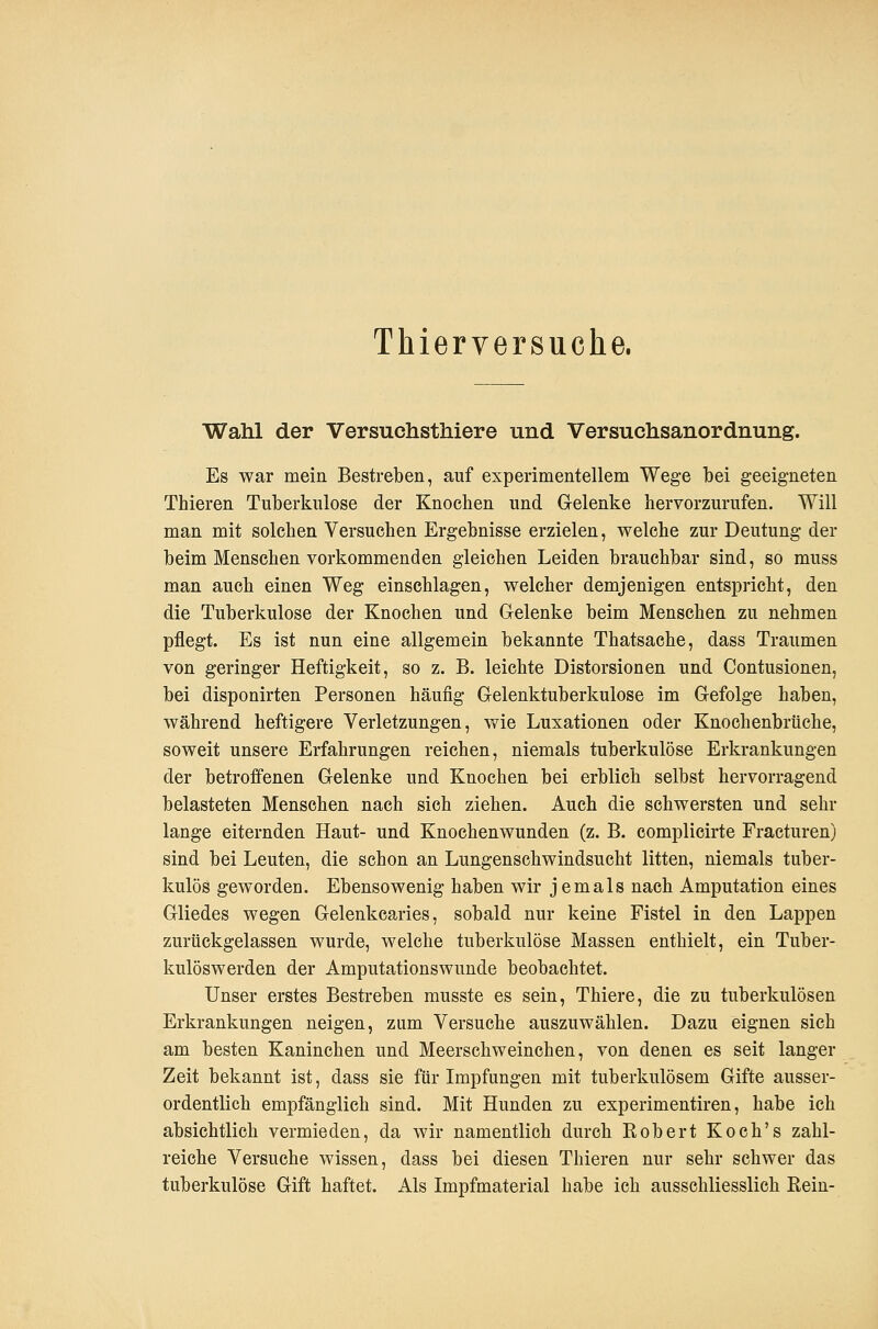 Thierversuche. Wahl der Versuchsthiere und Versuchsanordnung. Es war mein Bestreben, auf experimentellem Wege bei geeigneten Thieren Tuberkulose der Knochen und Gelenke hervorzurufen. Will man mit solchen Versuchen Ergebnisse erzielen, welche zur Deutung der beim Menschen vorkommenden gleichen Leiden brauchbar sind, so muss man auch einen Weg einschlagen, welcher demjenigen entspricht, den die Tuberkulose der Knochen und Gelenke beim Menschen zu nehmen pflegt. Es ist nun eine allgemein bekannte Thatsache, dass Traumen von geringer Heftigkeit, so z. B. leichte Distorsionen und Contusionen, bei disponirten Personen häufig Gelenktuberkulose im Gefolge haben, während heftigere Verletzungen, wie Luxationen oder Knochenbrüche, soweit unsere Erfahrungen reichen, niemals tuberkulöse Erkrankungen der betroffenen Gelenke und Knochen bei erblich selbst hervorragend belasteten Menschen nach sieh ziehen. Auch die schwersten und sehr lange eiternden Haut- und Knochenwunden (z. B. complicirte Fracturen) sind bei Leuten, die schon an Lungenschwindsucht litten, niemals tuber- kulös geworden. Ebensowenig haben wir jemals nach Amputation eines Gliedes wegen Gelenkcaries, sobald nur keine Fistel in den Lappen zurückgelassen wurde, welche tuberkulöse Massen enthielt, ein Tuber- kulöswerden der Amputationswunde beobachtet. Unser erstes Bestreben musste es sein, Thiere, die zu tuberkulösen Erkrankungen neigen, zum Versuche auszuwählen. Dazu eignen sich am besten Kaninchen und Meerschweinchen, von denen es seit langer Zeit bekannt ist, dass sie für Impfungen mit tuberkulösem Gifte ausser- ordentlich empfänglich sind. Mit Hunden zu experimentiren, habe ich absichtlich vermieden, da wir namentlich durch Robert Koch's zahl- reiche Versuche wissen, dass bei diesen Thieren nur sehr schwer das tuberkulöse Gift haftet. Als Impfmaterial habe ich ausschliesslich Rein-