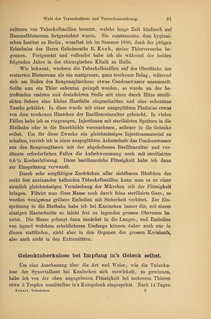 culturen von Tuberkelbacillen benutzt, welche lange Zeit hindurch auf Hammelblutserum fortgezüchtet waren. Sie entstammten dem hygieni- schen Institut zu Berlin, woselbst ich im Sommer 1886, dank der gütigen Erlaubniss des Herrn Geheimraths R. Koch, meine Thierversuche be- gonnen. Fortgesetzt und vollendet habe ich sie während der beiden folgenden Jahre in der chirurgischen Klinik zu Halle. Wie bekannt, wachsen die Tuberkelbacillen auf der Oberfläche des erstarrten Blutserums als ein mattgrauer, ganz trockener Belag, während sich am Boden des Reagensgläschens etwas Condenswasser ansammelt. Sollte nun ein Thier subcutan geimpft werden, so wurde an der be- treffenden rasirten und desinficirten Stelle mit einer durch Hitze sterili- sirten Schere eine kleine Hautfalte eingeschnitten und eine subcutane Tasche gebildet. In diese wurde mit einer ausgeglühten Platinöse etwas von dem trockenen Häutchen der Bacillenreincultur gebracht. In vielen Fällen habe ich es vorgezogen, Injectionen mit sterilisirten Spritzen in die Blutbahn oder in die Bauchhöhle vorzunehmen, seltener in die Gelenke selbst. Um für diese Zwecke ein gleichmässiges Injectionsmaterial zu erhalten, verrieb ich in einer ausgeglühten Achatschale das Condenswasser aus den Reagensgläsern mit der abgehobenen Bacillencultur und ver- dünnte erforderlichen Falles die Aufschwemmung noch mit sterilisirter 0,6 o/o Kochsalzlösung. Diese bacillenreiche Flüssigkeit habe ich dann zur Einspritzung verwandt. Durch sehr sorgfältiges Zerdrücken aller sichtbaren Häufchen der recht fest aneinander haftenden Tuberkelbacillen kann man es zu einer ziemlich gleichmässigen Vermischung der Mikroben mit der Flüssigkeit bringen. Filtrirt man diese Masse noch durch feine sterilisirte Gaze, so werden wenigstens gröbere Embolien mit Sicherheit verhütet. Zur Ein- spritzung in die Blutbahn habe ich bei Kaninchen immer die, mit einem einzigen Hautschnitte so leicht frei zu legenden grossen Ohrvenen be- nutzt. Die Masse gelangt dann zunächst in die Lungen, und Embolien von irgend welchem erheblicheren Umfange können daher auch nur in diesen stattfinden, nicht aber in den Organen des grossen Kreislaufs, also auch nicht in den Extremitäten. Gelenktuberkulose bei Impfung in's Gelenk selbst. Um eine Anschauung über die Art und Weise, wie die Tuberku- lose der Synovialhaut bei Kaninchen sich entwickelt, zu gewinnen, habe ich von der oben angegebenen Flüssigkeit bei mehreren Thieren etwa 5 Tropfen unmittelbar in's Kniegelenk eingespritzt. Nach 14 Tagen Krause, Tuberkulose. 6
