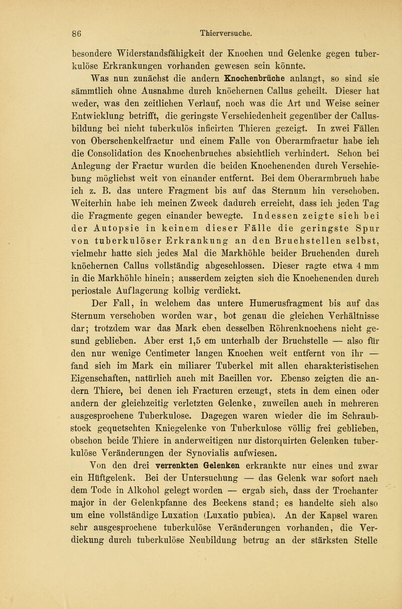 besondere Widerstandsfähigkeit der Knochen und Gelenke gegen tuber- kulöse Erkrankungen vorhanden gewesen sein könnte. Was nun zunächst die andern Knochenbrüche anlangt, so sind sie sämmtlich ohne Ausnahme durch knöchernen Callus geheilt. Dieser hat weder, was den zeitlichen Verlauf, noch was die Art und Weise seiner Entwicklung betrifft, die geringste Verschiedenheit gegenüber der Callus- bildung bei nicht tuberkulös inficirten Thieren gezeigt. In zwei Fällen von Oberschenkelfractur und einem Falle von Oberarmfractur habe ich die Consolidation des Knochenbruches absichtlich verhindert. Schon bei Anlegung der Fractur wurden die beiden Knochenenden durch Verschie- bung möglichst weit von einander entfernt. Bei dem Oberarmbruch habe ich z. B. das untere Fragment bis auf das Sternum hin verschoben. Weiterhin habe ich meinen Zweck dadurch erreicht, dass ich jeden Tag die Fragmente gegen einander bewegte. Indessen zeigte sich bei der Autopsie in keinem dieser Fälle die geringste Spur von tuberkulöser Erkrankung an den Bruchstellen selbst, vielmehr hatte sich jedes Mal die Markhöhle beider Bruchenden durch knöchernen Callus vollständig abgeschlossen. Dieser ragte etwa 4 mm in die Markhöhle hinein; ausserdem zeigten sich die Knochenenden durch periostale Auflagerung kolbig verdickt. Der Fall, in welchem das untere Humerusfragment bis auf das Sternum verschoben worden war, bot genau die gleichen Verhältnisse dar; trotzdem war das Mark eben desselben Eöhrenknochens nicht ge- sund geblieben. Aber erst 1,5 cm unterhalb der Bruchstelle — also für den nur wenige Centimeter langen Knochen weit entfernt von ihr — fand sich im Mark ein miliarer Tuberkel mit allen charakteristischen Eigenschaften, natürlich auch mit Bacillen vor. Ebenso zeigten die an- dern Thiere, bei denen ich Fracturen erzeugt, stets in dem einen oder andern der gleichzeitig verletzten Gelenke, zuweilen auch in mehreren ausgesprochene Tuberkulose. Dagegen waren wieder die im Schraub- stock gequetschten Kniegelenke von Tuberkulose völlig frei geblieben, obschon beide Thiere in anderweitigen nur distorquirten Gelenken tuber- kulöse Veränderungen der Synovialis aufwiesen. Von den drei verrenkten Gelenken erkrankte nur eines und zwar ein Hüftgelenk. Bei der Untersuchung — das Gelenk war sofort nach dem Tode in Alkohol gelegt worden — ergab sich, dass der Trochanter major in der Gelenkpfanne des Beckens stand; es handelte sich also um eine vollständige Luxation (Luxatio pubica). An der Kapsel waren sehr ausgesprochene tuberkulöse Veränderungen vorhanden, die Ver- dickung durch tuberkulöse Neubildung betrug an der stärksten Stelle