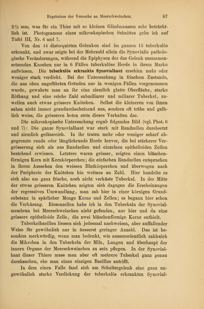 2V2 mm, was für ein Thier mit so kleinen Gliedmaassen sehr beträcht- lich ist. Photogramme eines mikroskopischen Schnittes gebe ich auf Tafel III, Nr. 6 und 7. Von den 44 distorquirten Gelenken sind im ganzen 15 tuberkulös erkrankt, und zwar zeigte bei der Mehrzahl allein die Synovialis patholo- gische Veränderungen, während die Epiphysen der das Gelenk zusammen- setzenden Knochen nur in 6 Fällen tuberkulöse Herde in ihrem Marke aufwiesen. Die tuberkulös erkrankte Synovialhaut erschien mehr oder weniger stark verdickt. Bei der Untersuchung in frischem Zustande, die aus oben angeführten Gründen nur in wenigen Fällen vorgenommen wurde, gewahrte man an ihr eine ziemlich glatte Oberfläche, starke Eöthung und eine reiche Zahl submiliarer und miliarer Tuberkel, zu- weilen auch etwas grössere Knötchen. Selbst die kleineren von ihnen sahen nicht immer graudurchscheinend aus, sondern oft trübe und gelb- lich weiss, die grösseren boten stets dieses Verhalten dar. Die mikroskopische Untersuchung ergab folgendes Bild (vgl. Phot. 6 und 7): Die ganze Synovialhaut war stark mit Rundzellen durchsetzt und ziemlich gefässreich. In ihr traten mehr oder weniger scharf ab- gegrenzte runde oder länglichrunde Herde hervor, die bei stärkerer Ver- grösserung sich als aus Rundzellen und einzelnen epithelioiden Zellen bestehend erwiesen. Letztere waren grösser, zeigten einen bläschen- förmigen Kern mit Kernkörperchen; die einfachen Rundzellen entsprachen in ihrem Aussehen den weissen Blutkörperchen und überwogen nach der Peripherie der Knötchen hin weitaus an Zahl. Hier handelte es sich also um ganz frische, noch nicht verkäste Tuberkel. In der Mitte der etwas grösseren Knötchen zeigten sich dagegen die Erscheinungen der regressiven Umwandlung, man sab hier in einer körnigen Grund- substanz in spärlicher Menge Kerne und Zellen; es begann hier schon die Verkäsung. Riesenzellen habe ich in den Tuberkeln der Synovial- membran bei Meerschweinchen nicht gefunden, nur hier und da eine grössere epithelioide Zelle, die zwei bläschenförmige Kerne enthielt. Tuberkelbacillen Hessen sich jedesmal nachweisen, aber auffallender Weise für gewöhnlieh nur in äusserst geringer Anzahl. Das ist be- sonders merkwürdig, wenn man bedenkt, wie ausserordentlich zahlreich die Mikroben in den Tuberkeln der Milz, Lungen und überhaupt der Innern Organe der Meerschweinchen zu sein pflegen. In der Synovial- haut dieser Thiere muss man aber oft mehrere Tuberkel ganz genau durchsuchen, ehe man einen einzigen Bacillus antrifft. In dem einen Falle fand sich am Schultergelenk eine ganz un- gewöhnlich starke Verdickung der tuberkulös erkrankten Synovial-