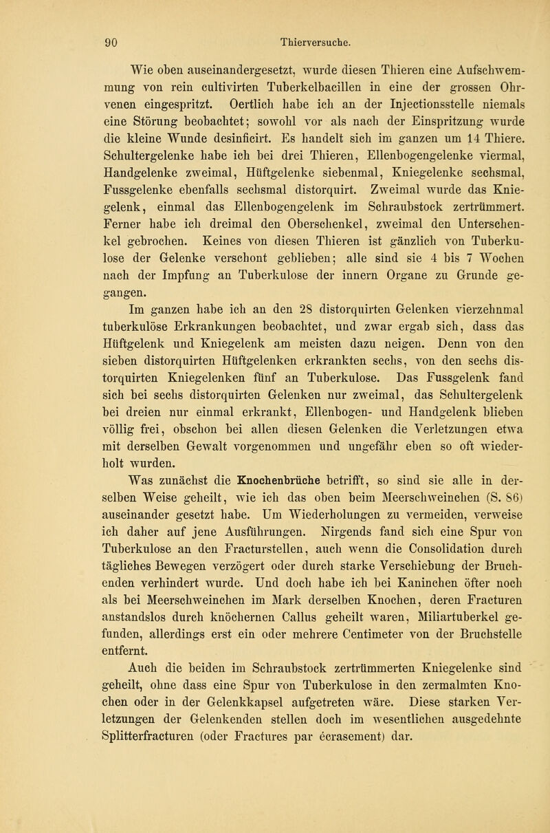 Wie oben auseinandergesetzt, wurde diesen Thieren eine Aufschwem- mung von rein cultivirten Tuberkelbacillen in eine der grossen Ohr- venen eingespritzt. Oertlich habe ich an der Injectionsstelle niemals eine Störung beobachtet; sowohl vor als nach der Einspritzung wurde die kleine Wunde desinficirt. Es handelt sich im ganzen um 14 Thiere. Schultergelenke habe ich bei drei Thieren, Ellenbogengelenke viermal, Handgelenke zweimal, Hüftgelenke siebenmal, Kniegelenke sechsmal, Fussgelenke ebenfalls sechsmal distorquirt. Zweimal wurde das Knie- gelenk, einmal das Ellenbogengelenk im Schraubstock zertrümmert. Ferner habe ich dreimal den Oberschenkel, zweimal den Untersehen- kel gebrochen. Keines von diesen Thieren ist gänzlich von Tuberku- lose der Gelenke verschont geblieben; alle sind sie 4 bis 7 Wochen nach der Impfung an Tuberkulose der Innern Organe zu Grunde ge- gangen. Im ganzen habe ich an den 28 distorquirten Gelenken vierzehnmal tuberkulöse Erkrankungen beobachtet, und zwar ergab sich, dass das Hüftgelenk und Kniegelenk am meisten dazu neigen. Denn von den sieben distorquirten Hüftgelenken erkrankten sechs, von den sechs dis- torquirten Kniegelenken fünf an Tuberkulose. Das Fussgelenk fand sich bei sechs distorquirten Gelenken nur zweimal, das Schultergelenk bei dreien nur einmal erkrankt, Ellenbogen- und Handgelenk blieben völlig frei, obschon bei allen diesen Gelenken die Verletzungen etwa mit derselben Gewalt vorgenommen und ungefähr eben so oft wieder- holt wurden. Was zunächst die Knochenbrüche betrifft, so sind sie alle in der- selben Weise geheilt, wie ich das oben beim Meerschweinchen (S. 86) auseinander gesetzt habe. Um Wiederholungen zu vermeiden, verweise ich daher auf jene Ausführungen. Nirgends fand sich eine Spur von Tuberkulose an den Fracturstellen, auch wenn die Consolidation durch tägliches Bewegen verzögert oder durch starke Verschiebung der Bruch- enden verhindert wurde. Und doch habe ich bei Kaninchen öfter noch als bei Meerschweinchen im Mark derselben Knochen, deren Fracturen anstandslos durch knöchernen Callus geheilt waren, Miliartuberkel ge- funden, allerdings erst ein oder mehrere Centimeter von der Bruchstelle entfernt. Auch die beiden im Schraubstock zertrümmerten Kniegelenke sind geheilt, ohne dass eine Spur von Tuberkulose in den zermalmten Kno- chen oder in der Gelenkkapsel aufgetreten wäre. Diese starken Ver- letzungen der Gelenkenden stellen doch im wesentlichen ausgedehnte Splitterfracturen (oder Fractures par ecrasement) dar.