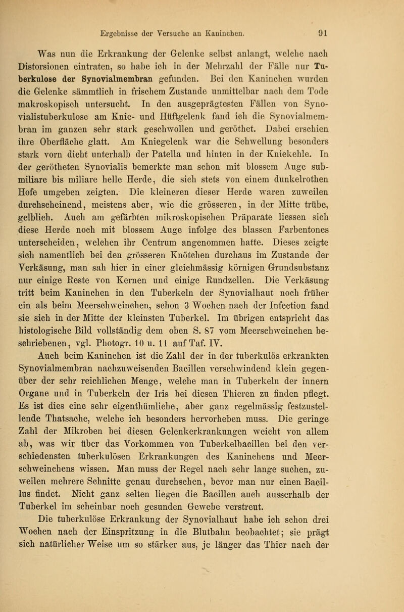 Was nun die Erkrankung- der Gelenke selbst anlangt, welclie nach Distorsionen eintraten, so habe ich in der Mehrzahl der Fälle nur Tu- berkulose der Synovialmembran gefunden. Bei den Kaninchen wurden die Gelenke sämmtlich in frischem Zustande unmittelbar nach dem Tode makroskopisch untersucht. In den ausgeprägtesten Fällen von Syno- vialistuberkulose am Knie- und Hüftgelenk fand ich die Synovialmem- bran im ganzen sehr stark geschwollen und geröthet. Dabei erschien ihre Oberfläche glatt. Am Kniegelenk war die Schwellung besonders stark vorn dicht unterhalb der Patella und hinten in der Kniekehle. In der gerötheten Synovialis bemerkte man schon mit blossem Aug'e sub- miliare bis miliare helle Herde, die sich stets von einem dunkelrothen Hofe umgeben zeigten. Die kleineren dieser Herde waren zuweilen durchscheinend, meistens aber, wie die grösseren, in der Mitte trübe, gelblich. Auch am gefärbten mikroskopischen Präparate Hessen sich diese Herde noch mit blossem Auge infolge des blassen Farbentones unterscheiden, welchen ihr Centrum angenommen hatte. Dieses zeigte sich namentlich bei den grösseren Knötchen durchaus im Zustande der Verkäsung, man sah hier in einer gleichmässig körnigen Grundsubstanz nur einige Reste von Kernen und einige Rundzellen. Die Verkäsung tritt beim Kaninehen in den Tuberkeln der Synovialhaut noch früher ein als beim Meerschweinchen, schon 3 Wochen nach der Infection fand sie sich in der Mitte der kleinsten Tuberkel. Im übrigen entspricht das histologische Bild vollständig dem oben S. 87 vom Meerschweinchen be- schriebenen, vgl. Photogr. 10 u. 11 auf Taf. IV. Auch beim Kaninchen ist die Zahl der in der tuberkulös erkrankten Synovialmembran nachzuweisenden Bacillen verschwindend klein gegen- über der sehr reichlichen Menge, welche man in Tuberkeln der Innern Organe und in Tuberkeln der Iris bei diesen Thieren zu finden pflegt. Es ist dies eine sehr eigenthümliche, aber ganz regelmässig festzustel- lende Thatsache, welche ich besonders hervorheben muss. Die geringe Zahl der Mikroben bei diesen Gelenkerkrankungen weicht von allem ab, was wir über das Vorkommen von Tuberkelbacillen bei den ver- schiedensten tuberkulösen Erkrankungen des Kaninchens und Meer- schweinchens wissen. Man muss der Regel nach sehr lange suchen, zu- weilen mehrere Schnitte genau durchsehen, bevor man nur einen Bacil- lus findet. Nicht ganz selten liegen die Bacillen auch ausserhalb der Tuberkel im scheinbar noch gesunden Gewebe verstreut. Die tuberkulöse Erkrankung der Synovialhaut habe ich schon drei Wochen nach der Einspritzung in die Blutbahn beobachtet; sie prägt sich natürlicher Weise um so stärker aus, je länger das Thier nach der