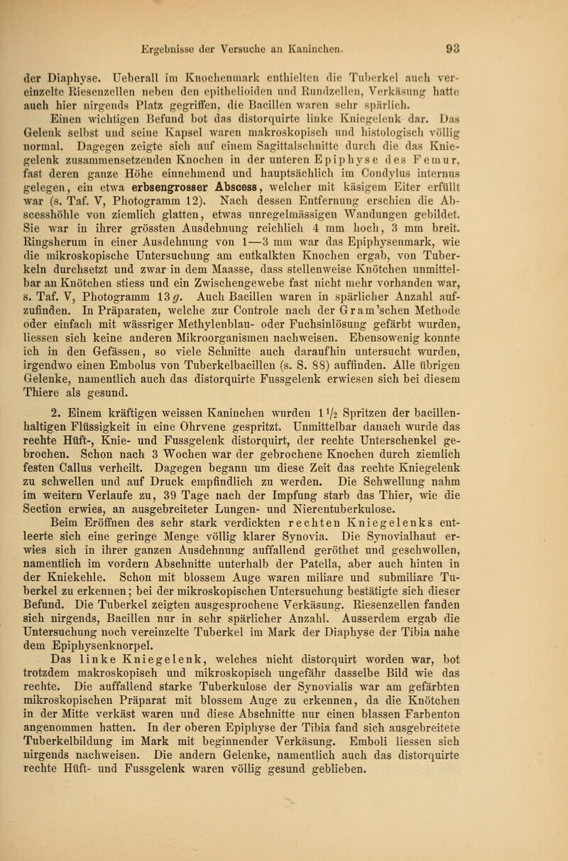 der Diaphyse. Ueberall im Knoclienmark enthielten die Tuberkel auch ver- einzelte Riesenzellen neben den epithelioiden und Rundzellen, Verkä.sung hatte auch hier nirgends Platz gegriffen, die Bacillen waren sehr spärlich. Einen wichtigen Befund bot dns distorquirte linke Kniegelenk dar. Das Gelenk selbst und seine Kapsel waren makroskopisch und histologisch völlig normal. Dagegen zeigte sich auf einem Sagittalschnitte durch die das Knie- gelenk zusammensetzenden Knochen in der unteren Epiphyse des Femur, fast deren ganze Höhe einnehmend und hauptsächlich im Condylus internus gelegen, ein etwa erbsengrosser Abscess, welcher mit käsigem Eiter erfüllt war (s. Taf, V, Photogramm 12). Nach dessen Entfernung erschien die Ab- scesshöhle von ziemlich glatten, etwas unregelmässigen Wandungen gebildet. Sie war in ihrer grössteu Ausdehnung reichlich 4 mm hoch, 3 mm breit. Ringsherum in einer Ausdehnung von 1—3 mm war das Epiphysenmark, wie die mikroskopische Untersuchung am entkalkten Knochen ergab, von Tuber- keln durchsetzt und zwar in dem Maasse, dass stellenweise Knötchen unmittel- bar an Knötchen stiess und ein Zwischengewebe fast nicht mehr vorhanden war, s. Taf. V; Photogramm 13 g. Auch Bacillen waren in spärlicher Anzahl auf- zufinden. In Präparaten, welche zur Coutrole nach der Gram'sehen Methode oder einfach mit wässriger Methylenblau- oder Fuchsinlösung gefärbt wurden, Hessen sich keine anderen Mikroorganismen nachweisen. Ebensowenig konnte ich in den Gefässen, so viele Schnitte auch daraufhin untersucht wurden, irgendwo einen Embolus von Tuberkelbacillen (s. S. 88) auffinden. Alle übrigen Gelenke, namentlich auch das distorquirte Fussgelenk erwiesen sich bei diesem Thiere als gesund. 2. Einem kräftigen weissen Kaninchen wurden 1 i/o Spritzen der bacillen- haltigen Flüssigkeit in eine Ohrvene gespritzt. Unmittelbar danach wurde das rechte Hüft-, Knie- und Fussgelenk distorquirt, der rechte Unterschenkel ge- brochen. Schon nach 3 Wochen war der gebrochene Knochen durch ziemlich festen Callus verheilt. Dagegen begann um diese Zeit das rechte Kniegelenk zu schwellen und auf Druck empfindlich zu werden. Die Schwellung nahm im weitern Verlaufe zu, 39 Tage nach der Impfung starb das Thier, wie die Section erwies, an ausgebreiteter Lungen- und Nierentuberkulose. Beim Eröffnen des sehr stark verdickten rechten Kniegelenks ent- leerte sich eine geringe Menge völlig klarer Synovia. Die Synovialhaut er- wies sich in ihrer ganzen Ausdehnung auffallend geröthet und geschwollen, namentlich im vordem Abschnitte unterhalb der Patella, aber auch hinten in der Kniekehle. Schon mit blossem Auge waren miliare und submiliare Tu- berkel zu erkennen; bei der mikroskopischen Untersuchung bestätigte sich dieser Befund. Die Tuberkel zeigten ausgesprochene Verkäsung. Riesenzellen fanden sich nirgends, Bacillen nur in sehr spärlicher Anzahl. Ausserdem ergab die Untersuchung noch vereinzelte Tuberkel im Mark der Diaphyse der Tibia nahe dem Epiphysenknorpel. Das linke Kniegelenk, welches nicht distorquirt worden war, bot trotzdem makroskopisch und mikroskopisch ungefähr dasselbe Bild wie das rechte. Die auffallend starke Tuberkulose der Synovialis war am gefärbten mikroskopischen Präparat mit blossem Auge zu erkennen, da die Knötchen in der Mitte verkäst waren und diese Abschnitte nur einen blassen Farbenton angenommen hatten. In der oberen Epiphyse der Tibia fand sich ausgebreitete Tuberkelbildung im Mark mit beginnender Verkäsung. Emboli Hessen sich nirgends nachweisen. Die andern Gelenke, namentlich auch das distorquirte rechte Hüft- und Fussgelenk waren völlig gesund geblieben.