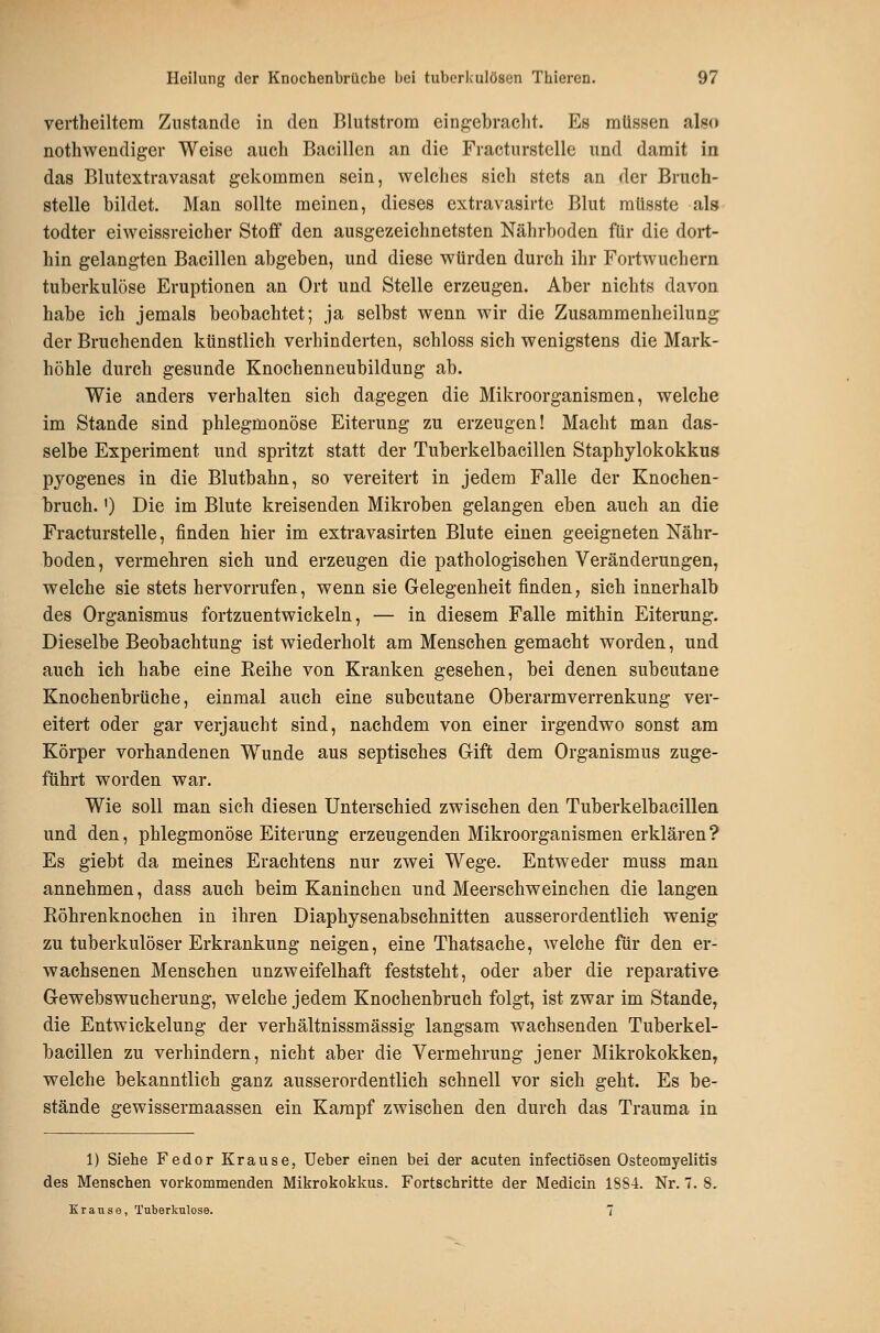vertheiltem Zustande in den Blutstrora eing:ebi'aclit. Es müssen also nothwendiger Weise auch Bacillen an die Fracturstclle und damit in das Blutextravasat gekommen sein, welches sich stets an der Bruch- stelle bildet. Man sollte meinen, dieses extravasirte Blut müsste als todter eiweissreicher Stoff den ausgezeichnetsten Nährhoden für die dort- hin gelangten Bacillen abgeben, und diese würden durch ihr Fortwuchern tuberkulöse Eruptionen an Ort und Stelle erzeugen. Aber nichts davon habe ich jemals beobachtet; ja selbst wenn wir die Zusammenheilung der Bruchenden künstlich verhinderten, schloss sich wenigstens die Mark- höhle durch gesunde Knochenneubildung ab. Wie anders verhalten sich dagegen die Mikroorganismen, welche im Stande sind phlegmonöse Eiterung zu erzeugen! Macht man das- selbe Experiment und spritzt statt der Tuberkelbacillen Staphylokokkus pyogenes in die Blutbahn, so vereitert in jedem Falle der Knochen- bruch. ') Die im Blute kreisenden Mikroben gelangen eben auch an die Fracturstclle, finden hier im extravasirten Blute einen geeigneten Nähr- boden, vermehren sich und erzeugen die pathologischen Veränderungen, welche sie stets hervorrufen, wenn sie Gelegenheit finden, sich innerhalb des Organismus fortzuentwickeln, — in diesem Falle mithin Eiterung. Dieselbe Beobachtung ist wiederholt am Menschen gemacht worden, und auch ich habe eine Eeihe von Kranken gesehen, bei denen subcutane Knochenbrüche, einmal auch eine subcutane Oberarmverrenkung ver- eitert oder gar verjaucht sind, nachdem von einer irgendwo sonst am Körper vorhandenen Wunde aus septisches Gift dem Organismus zuge- führt worden war. Wie soll man sich diesen Unterschied zwischen den Tuberkelbacillen und den, phlegmonöse Eiterung erzeugenden Mikroorganismen erklären ? Es giebt da meines Erachtens nur zwei Wege. Entweder muss man annehmen, dass auch beim Kaninchen und Meerschweinchen die langen Röhrenknochen in ihren Diaphysenabschnitten ausserordentlich wenig zu tuberkulöser Erkrankung neigen, eine Thatsache, welche für den er- wachsenen Menschen unzweifelhaft feststeht, oder aber die reparative Gewebswucherung, welche jedem Knochenbruch folgt, ist zwar im Stande, die Entwickelung der verhältnissmässig langsam wachsenden Tuberkel- bacillen zu verhindern, nicht aber die Vermehrung jener Mikrokokken, welche bekanntlich ganz ausserordentlich schnell vor sich geht. Es be- stände gewissermaassen ein Kampf zwischen den durch das Trauma in 1) Siebe Fedor Krause, Ueber einen bei der acuten infectiösen Osteomyelitis des Menschen vorkommenden Mikrokokkus. Fortschritte der Medicin 1884. Nr. 7, 8. Krause, Tuberkulose. 7