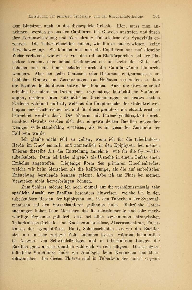 dem Blutstrom auch in das distorquirtc Gelenk. Hier, muss man an- nehmen, werden sie aus den Capillaren in's Gewebe austreten und durch ihre Fortentwickelung und Vermehrung Tuberkulose der Synovialis er-' zeugen. Die Tuberkelbacillen haben, wie Koch nachgewiesen, keine Eigenbewegung. Sie können also normale Capillaren nur auf dieselbe Weise verlassen, wie wir es von den rothen Blutkörperchen bei der Dia- pedese kennen, oder indem Leukoeyten sie im kreisenden Blute auf- nehmen und mit ihnen beladen durch die Capillarwände hindurch- wandern. Aber bei jeder Contusion oder Distorsion einigermaassen er- heblichen Grades sind Zerreissungen von Gefässen vorhanden, so dass die Bacillen leicht diesen entweichen können. Auch die Gewebe selbst erleiden besonders bei' Distorsionen regelmässig beträchtliche Veränder- ungen, insofern unter entzündlichen Erscheinungen ein acutes Oedem (Oedema calidum) auftritt, welches die Hauptursache der Gelenksohwel- lungen nach Distorsionen ist und für diese geradezu als charakteristisch betrachtet werden darf. Die abnorm mit Parenchymfltissigkeit durch- tränkten Gewebe werden sich den eingewanderten Bacillen gegenüber weniger widerstandsfähig erweisen, als es im gesunden Zustande der Fall sein würde. Ich glaube nicht fehl zu gehen, wenn ich für die tuberkulösen Herde im Knochenmark und namentlich in den Epiphysen bei meinen Thieren dieselbe Art der Entstehung annehme, wie für die Synovialis- tuberkulose. Denn ich habe nirgends als Ursache in einem Gefäss einen Embolus angetroffen. Diejenige Form des primären Knochenherdes, welche wir beim Menschen als die keilförmige, als die auf embolischer Entstehung beruhende kennen gelernt, habe ich am Thier bei meinen Versuchen nicht hervorbringen können. Zum Schluss möchte ich noch einmal auf die verhältnissmässig sehr spärliche Anzahl von Bacillen besonders hinweisen, welche ich in den tuberkulösen Herden der Epiphysen und in den Tuberkeln der Synovial- membran bei den Versuchsthieren gefunden habe. Mehrfache Unter- suchungen haben beim Menschen das übereinstimmende und sehr merk- würdige Ergebniss geliefert, dass bei allen sogenannten chirurgischen Tuberkulosen (Gelenk- und Knochentuberkulose, Abscessmembran, Tuber- kulose der Lymphdrüsen, Haut, Sehnenscheiden u. s. w.) die Bacillen sich nur in sehr geringer Zahl auffinden lassen, während bekanntlich im Auswurf von Schwindsüchtigen und in tuberkulösen Lungen die Bacillen ganz ausserordentlich zahlreich zu sein pflegen. Dieses eigen- thtimliche Verhältniss findet ein Analogon beim Kaninehen und Meer- schweinchen. Bei diesen Thieren sind in Tuberkeln der innern Organe