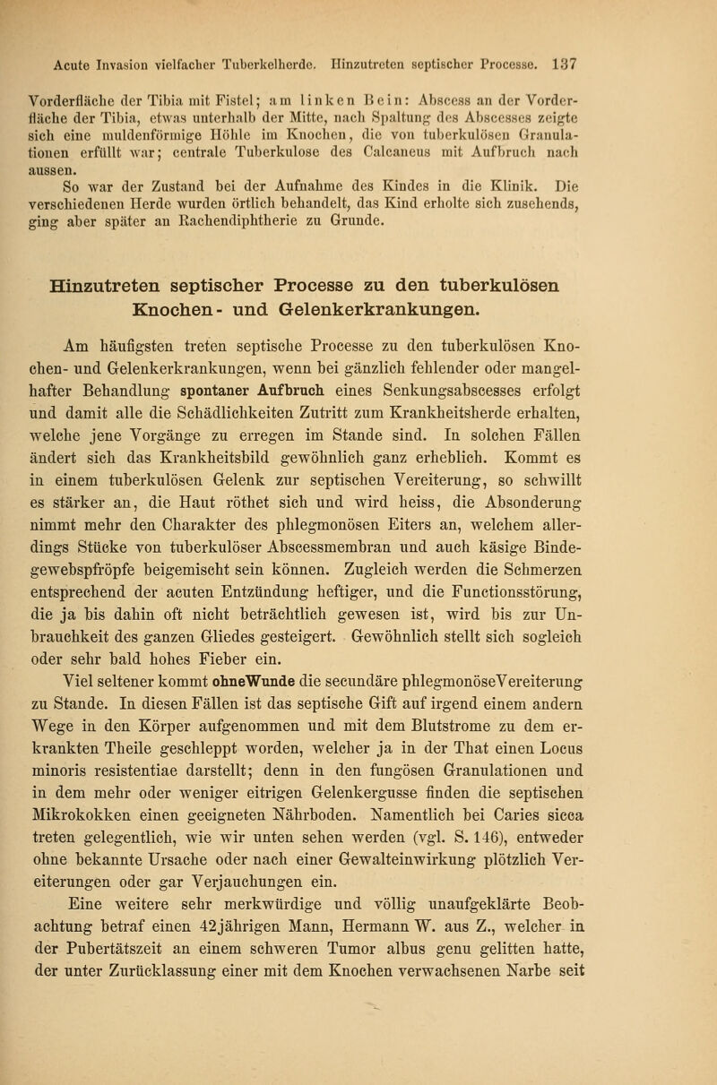 Vorderfliiebe der Tibia mit Fistel; .am linken 15cin: Absccss an der Vorder- fläcbe der Tibia, etwas unterhalb der Mitte, nach Spaltunj? des Abscesses zeigte sich eine muldenförmige Hölile im Knochen, die von tuberkulösen Granula- tionen erfüllt Avar; centrale Tuberkulose des Calcaneus mit Aufbruch nach aussen. So war der Zustand bei der Aufnahme des Kindes in die Klinik. Die verschiedenen Herde wurden örtlich behandelt, das Kind erholte sich zusehends, ging aber später an Kachendiphtherie zu Grunde. Hinzutreten septischer Processe zu den tuberkulösen Knochen- und Gelenkerkrankungen. Am bäufigsteR treten septische Processe zu den tuberkulösen Kno- chen- und Gelenkerkrankungen, wenn bei gänzlich fehlender oder mangel- hafter Behandlung spontaner Aufbruch eines Senkungsabscesses erfolgt und damit alle die Schädlichkeiten Zutritt zum Krankheitsherde erhalten, welche jene Vorgänge zu erregen im Stande sind. In solchen Fällen ändert sich das Krankheitsbild gewöhnlich ganz erheblich. Kommt es in einem tuberkulösen Gelenk zur septischen Vereiterung, so schwillt es stärker an, die Haut röthet sich und wird heiss, die Absonderung nimmt mehr den Charakter des phlegmonösen Eiters an, welchem aller- dings Stücke von tuberkulöser Abscessmembran und auch käsige Binde- gewebspfröpfe beigemischt sein können. Zugleich werden die Schmerzen entsprechend der acuten Entzündung heftiger, und die Functionsstörung, die ja bis dahin oft nicht beträchtlich gewesen ist, wird bis zur ün- brauchkeit des ganzen Gliedes gesteigert. Gewöhnlich stellt sich sogleich oder sehr bald hohes Fieber ein. Viel seltener kommt ohneWunde die secundäre phlegmonöseVereiterung zu Stande. In diesen Fällen ist das septische Gift auf irgend einem andern Wege in den Körper aufgenommen und mit dem Blutstrome zu dem er- krankten Theile geschleppt worden, welcher ja in der That einen Locus minoris resistentiae darstellt; denn in den fungösen Granulationen und in dem mehr oder weniger eitrigen Gelenkergusse finden die septischen Mikrokokken einen geeigneten Nährboden. Namentlich bei Caries sicca treten gelegentlich, wie wir unten sehen werden (vgl. S. 146), entweder ohne bekannte Ursache oder nach einer Gewalteinwirkung plötzlich Ver- eiterungen oder gar Verjauchungen ein. Eine weitere sehr merkwürdige und völlig unaufgeklärte Beob- achtung betraf einen 42jährigen Mann, Hermann W. aus Z., welcher in der Pubertätszeit an einem schweren Tumor albus genu gelitten hatte, der unter Zurücklassung einer mit dem Knochen verwachsenen Narbe seit