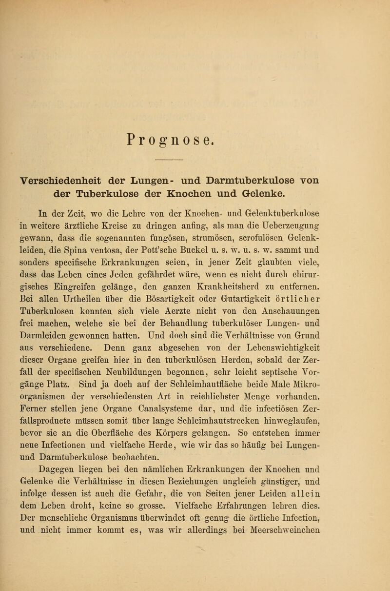 Prognose. Verschiedenheit der Lungen- und Darmtuberkulose von der Tuberkulose der Knochen und Gelenke. In der Zeit, wo die Lehre von der Knochen- und Gelenktuberkulose in weitere ärztliche Kreise zu dringen anfing, als man die Ueberzeugung gewann, dass die sogenannten fungösen, strumösen, scrofulösen Gelenk- leiden, die Spina ventosa, der Pott'sche Buckel u. s. w. u. s. w. sammt und sonders specifische Erkrankungen seien, in jener Zeit glaubten viele, dass das Leben eines Jeden gefährdet wäre, wenn es nicht durch chirur- gisches Eingreifen gelänge, den ganzen Krankheitsherd zu entfernen. Bei allen Urtheilen über die Bösartigkeit oder Gutartigkeit örtlicher Tuberkulosen konnten sich viele Aerzte nicht von den Anschauungen frei machen, welche sie bei der Behandlung tuberkulöser Lungen- und Darmleiden gewonnen hatten. Und doch sind die Verhältnisse von Grund aus verschiedene. Denn ganz abgesehen von der Lebenswichtigkeit dieser Organe greifen hier in den tuberkulösen Herden, sobald der Zer- fall der specifischen Neubildungen begonnen, sehr leicht septische Vor- gänge Platz, Sind ja doch auf der Schleimhautfläche beide Male Mikro- organismen der verschiedensten Art in reichlichster Menge vorhanden. Ferner stellen jene Organe Canalsysteme dar, und die infectiösen Zer- fallsproducte müssen somit über lange Schleimhautstrecken hinweglaufen, bevor sie an die Oberfläche des Körpers gelangen. So entstehen immer neue Infectionen und vielfache Herde, wie wir das so häufig bei Lungen- und Darmtuberkulose beobachten. Dagegen liegen bei den nämlichen Erkrankungen der Knochen und Gelenke die Verhältnisse in diesen Beziehungen ungleich günstiger, und infolge dessen ist auch die Gefahr, die von Seiten jener Leiden allein dem Leben droht, keine so grosse. Vielfache Erfahrungen lehren dies. Der menschliche Organismus überwindet oft genug die örtliche Infection, und nicht immer kommt es, was wir allerdings bei Meerschweinchen