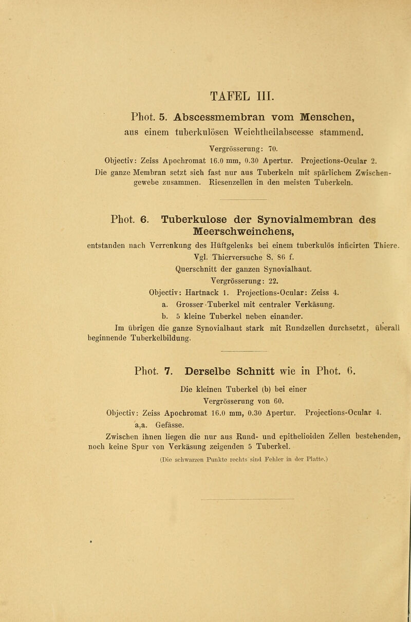 Phot. 5. Abscessmembran vom Menschen, ans einem tnlberknlösen Weiclitheilabscesse stammend. Vergrösserung: 70. Objectiv: Zeiss Apochromat 16.0 mm, 0.30 Apertur. Projections-Ocular 2. Die ganze Membran setzt sich fast nur aus Tuberkeln mit spärlichem Zwischen- gewebe zusammen. Riesenzellen in den meisten Tuberkeln. Phot. 6. Tuberkulose der Synovialmembran des Meerschweinchens, entstanden nach Verrenkung des Hüftgelenks bei einem tuberkulös inficirten Thiere. Vgl. Thierversuche S. 86 f. Querschnitt der ganzen Synovialhaut. Vergrösserung: 22. Objectiv: Hartnack 1. Projections-Ocular: Zeiss 4. a. Grosser Tuberkel mit centraler Verkäsung. b. 5 kleine Tuberkel neben einander. Im übrigen die ganze Synovialhaut stark mit Rundzellen durchsetzt, überall beginnende Tuberkelbildung. Phot. 7. Derselbe Schnitt wie in Phot. 6. Die kleinen Tuberkel (b) bei einer Vergrösserung von 60. Objectiv: Zeiss Apochromat 16.0 mm, 0.30 Apertur. Projections-Ocular 4. a.a. Gefässe. Zwischen ihnen liegen die nur aus Rund- und epithelioiden Zellen bestehenden, noch keine Spur von Verkäsung zeigenden 5 Tuberkel. (Die schwarzen Punkte rechts sind Fehler in der PLitte.)