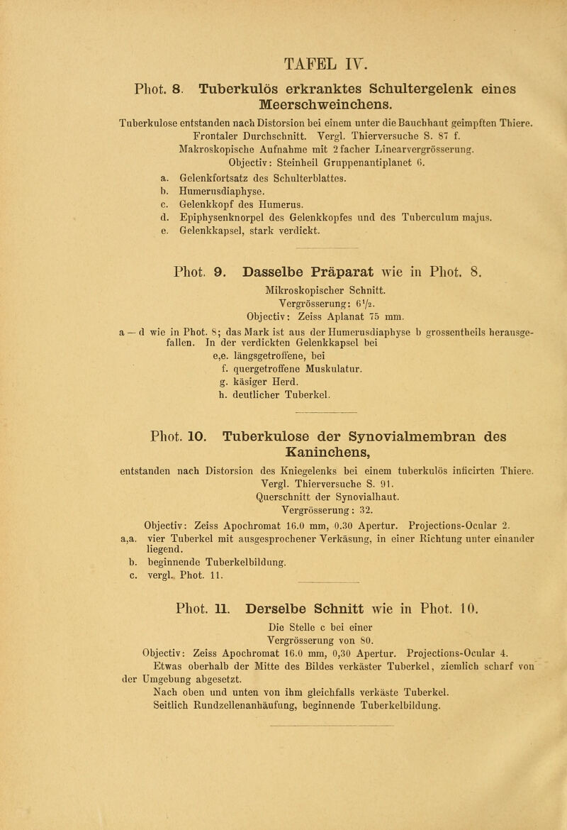 Phot. 8. Tuberkulös erkranktes Schultergelenk eines Meerschweincliens. Tuberkulose entstanden nach Distorsion bei einem unter die Bauchhaut geimpften Thiere. Frontaler Durchschnitt. Vergl. Thierversuche S. 87 f. Makroskopische Aufnahme mit 2facher Linearvergrösserung. Objectiv: Steinheil Gruppenantiplanet G. a. Gelenkfortsatz des Schulterblattes. b. Humerusdiaphyse. c. Gelenkkopf des Humerus. d. Epiphysenknorpel des Gelenkkopfes und des Tuberculum majus. e. Gelenkkapsel, stark verdickt. Phot. 9. Dasselbe Präparat wie in Phot. 8. Mikroskopischer Schnitt. Vergrösserung: 6V2. Objectiv: Zeiss Aplanat 75 mm. d wie in Phot. 8; das Mark ist aus der Humerusdiaphyse b grossentheils herausge- fallen. In der verdickten Gelenkkapsel bei e,e. längsgetroftene, bei f. quergetroffene Muskulatur. g. käsiger Herd. h. deutlicher Tuberkel. Phot. 10. Tuberkulose der Synovialmembran des Kaninchens, entstanden nach Distorsion des Kniegelenks bei einem tuberkulös inticirten Thiere. Vergl. Thierversuche S. 91. Querschnitt der Synovialhaut. Vergrösserung: 32. Objectiv: Zeiss Apochromat 16.0 mm, 0.30 Apertur, Projections-Ocular 2. a,a. vier Tuberkel mit ausgesprochener Verkäsung, in einer Richtung unter einander liegend, b. beginnende Tuberkelbildung. c, vergl, Phot. 11. Phot. 11. Derselbe Schnitt wie in Phot. 10. Die Stelle c bei einer Vergrösserung von 80. Objectiv: Zeiss Apochromat 16.0 mm, 0,30 Apertur. Projections-Ocular 4. Etwas oberhalb der Mitte des Bildes verkäster Tuberkel, ziemlich scharf von der Umgebung abgesetzt. Nach oben und unten von ihm gleichfalls verkäste Tuberkel. Seitlich Rundzellenanhäufung, beginnende Tuberkelbildung.
