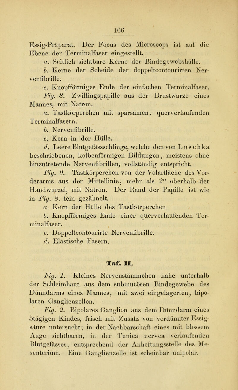 m__ Essig-Präparat. Der Fociis des MIcroscops ist auf die Ebene der Terminalfaser eingestellt. a. Seitlich sichtbare Kerne der Bindegewebshülle. h. Kerne der Scheide der doppeltcontourirten Ner- venfibrille. c. Knopfförmiges Ende der einfachen Terminalfaser. Fig. 8. Zwillingspapille aus der Brustwarze eines ManneS; mit Natron. a. Tastkörperchen mit sparsamen, querverlaufenden Terminalfasern. h. Nervenfibrille. c. Kern in der Hülle. d. Leere Blutgefässschlinge, welche den von Luschka beschriebenen, kolbenförmigen Bildungen, meistens ohne hinzutretende Nervenfibrillen, vollständig entspricht. Fig. 9. Tastkörperchen von der Volarfläche des Vor- derarms aus der Mittellinie, mehr als 2 oberhalb der Handwurzel, mit Natron. Der Rand der Papille ist wie in Fig. 8. fein gezähnelt. a. Kern der Hülle des Tastkörperchen. b. Knopfförmiges Ende einer querverlaufenden Ter- minalfaser. c. Doppeltcontourirte Nervenfibrille. d. Elastische Fasern. Taf. II. Fig. 1. Kleines Nervenstämmchen nahe unterhalb der Schleimhaut aus dem submucösen Bindegewebe des Dünndarms eines Mannes, mit zwei eingelagerten, bipo- laren Ganglienzellen. Fig. 2. Bipolares Ganglion aus dem Dünndarm eines ötägigen Kindes, frisch mit Zusatz von verdünnter Essig- säure untersucht; in der Nachbarschaft eines mit blossem Auge sichtbaren, in der Tunica nervea vci'laufenden Blutgefässes, entsprechend der Anheftungsstelle des Me- senterium. Eine GangUcnzelle ist scheinbar unipolar.