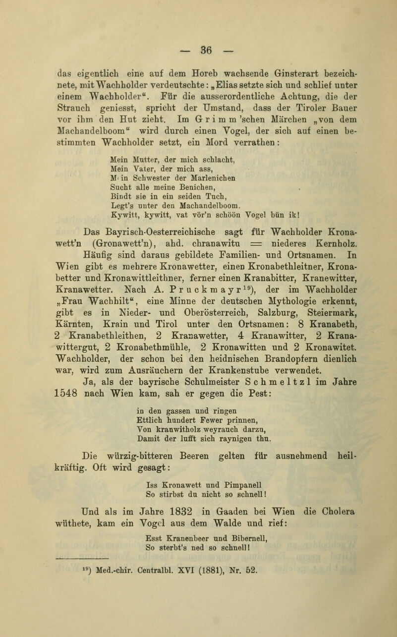 das eigentlich eine auf dem Horeb wachsende Ginsterart bezeich- nete, mit Wachholder verdeutschte: „Elias setzte sich und schlief unter einem Wachholder. Für die ausserordentliche Achtung, die der Strauch geniesst, spricht der Umstand, dass der Tiroler Bauer vor ihm den Hut zieht. Im Grimmschen Märchen „von dem Machandelboom wird durch einen Vogel, der sich auf einen be- stimmten Wachholder setzt, ein Mord verrathen: Mein Mutter, der mich Schlacht, Mein Vater, der mich ass, M' in Schwester der Marlenichen Sucht alle meine Benichen, Bindt sie in ein seiden Tuch, Legt's unter den Machandelboom. Kywitt, kywitt, vat vör'n schöön Vogel bün ik! Das Bayrisch-Oesterreichische sagt für Wachholder Krona- wett'n (Gronawett'n), ahd. chranawitu = niederes Kernholz. Häufig sind daraus gebildete Familien- und Ortsnamen. In Wien gibt es mehrere Kronawetter, einen Kronabethleitner, Krona- better und Kronawittleithner, ferner einen Kranabitter, Kranewitter, Kranawetter. Nach A. Pruckmayr19), der im Wachholder „Frau Wachhilt, eine Minne der deutseben Mythologie erkennt, gibt es in Nieder- und Oberösterreich, Salzburg, Steiermark, Kärnten, Krain und Tirol unter den Ortsnamen: 8 Kranabeth, 2 Kranabethleithen, 2 Kranawetter, 4 Kranawitter, 2 Krana- wittergut, 2 Kronabethmühle, 2 Kronawitten und 2 Kronawitet. Wachholder, der schon bei den heidnischen Brandopfern dienlich war, wird zum Ausräuchern der Krankenstube verwendet. Ja, als der bayrische Schulmeister Schmeltzl im Jahre 1548 nach Wien kam, sah er gegen die Pest: in den gassen und ringen Ettlich hundert Fewer prinnen, Von kranwitholz Weyrauch darzu, Damit der lufft sich raynigen thu. Die würzig-bitteren Beeren gelten für ausnehmend heil- kräftig. Oft wird gesagt: Iss Kronawett und Pimpanell So stirbst du nicht so schnell! Und als im Jahre 1832 in Gaaden bei Wien die Cholera wüthete, kam ein Vogel aus dem Walde und rief: Esst Kranenbeer und Bibernell, So sterbt's ned so schnell! ie) Med.-chir. Centralbl. XVI (1881), Nr. 52.