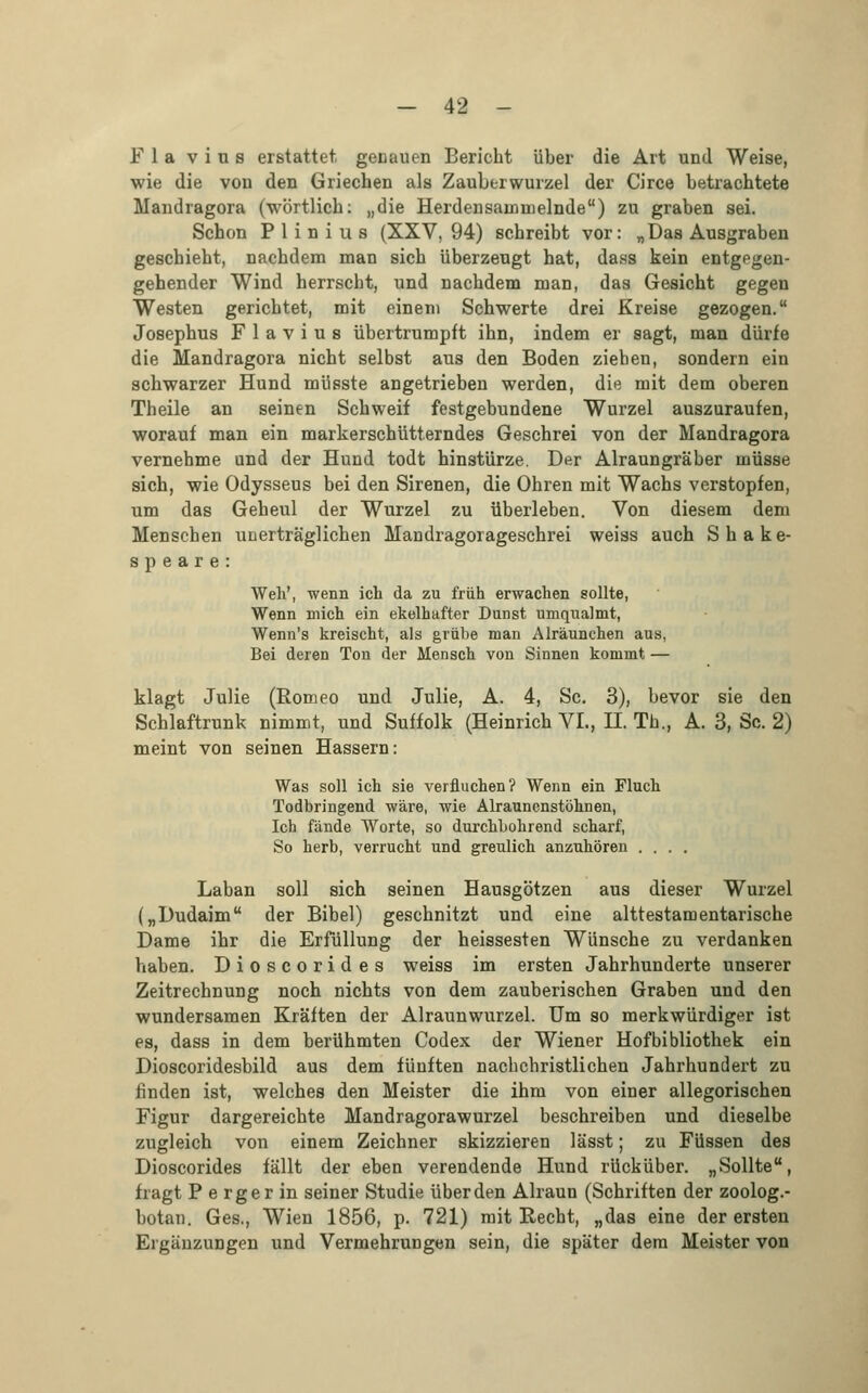 Fla v i u s erstattet genauen Bericht über die Art und Weise, wie die von den Griechen als Zauberwurzel der Circe betrachtete Mandragora (wörtlich: „die Herdensammelnde) zu graben sei. Schon PI in i us (XXV, 94) schreibt vor: „Das Ausgraben geschieht, nachdem man sich überzeugt hat, dass kein entgegen- gehender Wind herrscht, und nachdem man, das Gesicht gegen Westen gerichtet, mit einem Schwerte drei Kreise gezogen. Josephus F 1 a v i u 8 übertrumpft ihn, indem er sagt, man dürfe die Mandragora nicht selbst aus den Boden ziehen, sondern ein schwarzer Hund müsste angetrieben werden, die mit dem oberen Theile an seinen Schweif festgebundene Wurzel auszuraufen, worauf man ein markerschütterndes Geschrei von der Mandragora vernehme und der Hund todt hinstürze. Der Alraungräber müsse sich, wie Odysseus bei den Sirenen, die Ohren mit Wachs verstopfen, um das Geheul der Wurzel zu überleben. Von diesem dem Menschen unerträglichen Mandragorageschrei weiss auch Shake- speare: Weh', wenn ich da zu früh erwachen sollte, Wenn mich ein ekelhafter Dunst umqualmt, Wenn's kreischt, als grübe man Alräunchen aus, Bei deren Ton der Mensch von Sinnen kommt — klagt Julie (Romeo und Julie, A. 4, Sc. 3), bevor sie den Schlaftrunk nimmt, und Suffolk (Heinrich VI., IL Tb., A. 3, Sc. 2) meint von seinen Hassern: Was soll ich sie verfluchen? Wenn ein Fluch Todbringend wäre, wie Alrauncnstöhnen, Ich fände Worte, so durchbohrend scharf, So herb, verrucht und greulich anzuhören .... Laban soll sich seinen Hausgötzen aus dieser Wurzel („Dudaim der Bibel) geschnitzt und eine alttestamentarische Dame ihr die Erfüllung der heissesten Wünsche zu verdanken haben. Dioscorides weiss im ersten Jahrhunderte unserer Zeitrechnung noch nichts von dem zauberischen Graben und den wundersamen Kräften der Alraunwurzel. Um so merkwürdiger ist es, dass in dem berühmten Codex der Wiener Hofbibliothek ein Dioscoridesbild aus dem fünften nachchristlichen Jahrhundert zu finden ist, welches den Meister die ihm von einer allegorischen Figur dargereichte Mandragorawurzel beschreiben und dieselbe zugleich von einem Zeichner skizzieren lässt; zu Füssen des Dioscorides fällt der eben verendende Hund rücküber. „Sollte, fragt P e rger in seiner Studie über den Alraun (Schriften der zoolog.- botan. Ges., Wien 1856, p. 721) mit Recht, „das eine der ersten Ergänzungen und Vermehrungen sein, die später dem Meister von