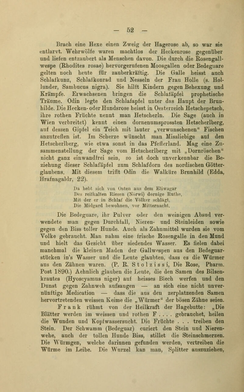 Brach eine Hexe einen Zweig der Hagerose ab, so war sie entlarvt. Wehrwölfe waren machtlos der Heckenrose gegenüber und liefen entzaubert als Menschen davon. Die durch die Rosengall- wespe (Rhodites rosae) hervorgerufenen Moosgallen oder Bedeguare gelten noch heute für zauberkräftig. Die Galle heisst auch Schlafkunz, Schlafkonrad und Nesseln der Frau Holle (s. Hol- lunder, Sambucus nigra). Sie hilft Kindern gegen Behexung und Krämpfe. Erwachsenen bringen die Schlafäpfei prophetische Träume. Odin legte den Schlafapfel unter das Haupt der Brun- hilde. Die Hecken-oder Hundsrose heisst in Oesterreich Hetschepetsch, ihre rothen Früchte nennt man Hetscherln. Die Sage (auch in Wien verbreitet) kennt einen dornenumsprossten Hetscherlberg, auf dessen Gipfel ein Teich mit lauter „verwunschenen Fischen anzutreffen ist. Im Scherze wünscht man Missliebige auf den Hetscherlberg, wie etwa sonst in das Pfefferland. Mag eine Zu- sammenstellung der Sage vom Hetscherlberg mit „Dornröschen nicht ganz einwandfrei sein, so ist doch unverkennbar die Be- ziehung dieser Schlafäpfel zum Schlafdorn des nordischen Götter- glaubens. Mit diesem trifft Odin die Walküre Brunhild (Edda, Hrafnagaldr, 22). ])a hellt sich von Osten aus dem Eliwagar Des reilkalten Riesen (Nörwi) dornige Rntho, Mit der er in Schlaf die Völker schlägt, Die Midgard bewohnen, vor Mitternacht. Die Bedeguare, ihr Pulver oder den weinigen Absud ver- wendete man gegen Durchfall, Nieren- und Steinleiden sowie gegen den Biss toller Hunde. Auch als Zahnmittel wurden sie vom Volke gebraucht. Man nahm eine frische Rosengalle in den Mund und hielt das Gesicht über siedendes Wasser. Es fielen dabei manchmal die kleinen Maden der Gallwespen aus den Bedeguar- stücken in's Wasser und die Leute glaubten, dass es die Würmer aus den Zähnen waren. (P. R. S t o 1 z i s s i, Die Rose, Pharm. Post 1890.) Aehnlich glauben die Leute, die den Samen des Bilsen- krautes (Hyoscyaraus niger) auf heisses Blech werfen und den Dunst gegen Zahnweh aufsaugen — an sich eine nicht unver- nünftige Medication — dass die aus den zerplatzenden Samen hervortretenden weissen Keime die „Würmer der bösen Zähne seien. Frank rühmt von der Heilkraft der Hagebutte: „Die Blätter werden im weissen und rothen F . . . . gebrauchet, heilen die Wunden und Kopfwassersucht. Die Früchte . . . treiben den Stein. Der Schwamm (Bedeguar) curiert den Stein und Nieren- wehe, auch der tollen Hunde Biss, stillet die Steinschmerzen. Die Würmgen, welche darinnen gefunden werden, vertreiben die Wurme im Leibe. Die Wurzel kan man, Splitter auszuziehen,