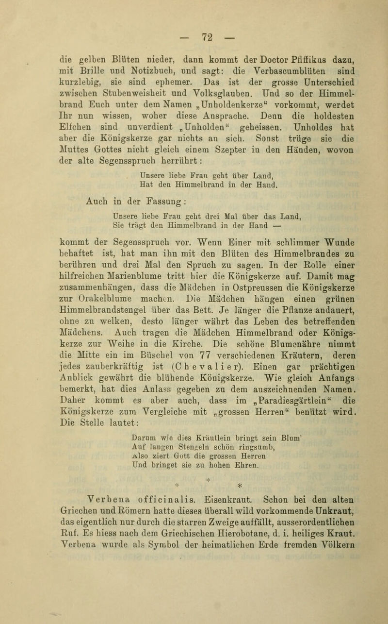 die gelben Blüten nieder, dann kommt der Doctor Pfiffikus dazu, mit Brille und Notizbuch, und sagt: die Verbascumblüten sind kurzlebig, sie sind ephemer. Das ist der grosse Unterschied zwischen Stubenweisheit und Volksglauben. Und so der Himmel- brand Euch unter dem Namen „Unholdenkerze vorkommt, werdet Ihr nun wissen, woher diese Ansprache. Denn die holdesten Elfchen sind unverdient „Unholden geheissen. Unholdes hat aber die Königskerze gar nichts an sich. Sonst trüge sie die Muttes Gottes nicht gleich einem Szepter in den Händen, wovon der alte Segensspruch herrührt: Unsere liebe Frau geht über Land, Hat den Himmelbrand in der Hand. Auch in der Fassung : Unsere liebe Frau gebt drei Mal über das Land, Sie trägt den Himmelbrand in der Hand — kommt der Segensspruch vor. Wenn Einer mit schlimmer Wunde behaftet ist, hat man ihn mit den Blüten des Himmelbrandes zu berühren und drei Mal den Spruch zu sagen. In der Rolle einer hilfreichen Marienblume tritt hier die Königskerze auf. Damit mag zusammenhängen, dass die Mädchen in Ostpreussen die Königskerze zur Orakelblume machm. Die Mädchen hängen einen grünen Himmelbrandstengel über das Bett. Je länger die Pflanze andauert, ohne zu welken, desto länger währt das Leben des betreffenden Mädchens. Auch tragen die Mädchen Himmelbrand oder Königs- kerze zur Weihe in die Kirche. Die schöne Blumenähre nimmt die Mitte ein im Büschel von 77 verschiedenen Kräutern, deren jedes zauberkräftig ist (Chevalier). Einen gar prächtigen Anblick gewährt die blühende Königskerze. Wie gleich Anfangs bemerkt, hat dies Anlass gegeben zu dem auszeichnenden Namen. Daher kommt es aber auch, dass im „Paradiesgärtlein die Königskerze zum Vergleiche mit „grossen Herren benützt wird. Die Stelle lautet: Darum wie dies Kräutlein bringt sein Blum' Auf langen Stengeln schön ringsumb, Also ziert Gott die grossen Herren Und bringet sie zu hohen Ehren. Verbena officinalis. Eisenkraut. Schon bei den alten Griechen und Römern hatte dieses überall wild vorkommende Unkraut, das eigentlich nur durch die starren Zweige auffällt, ausserordentlichen Ruf. Es hiess nach dem Griechischen Hierobotane, d. i. heiliges Kraut. Verbena wurde als Symbol der heimatlichen Erde fremden Völkern