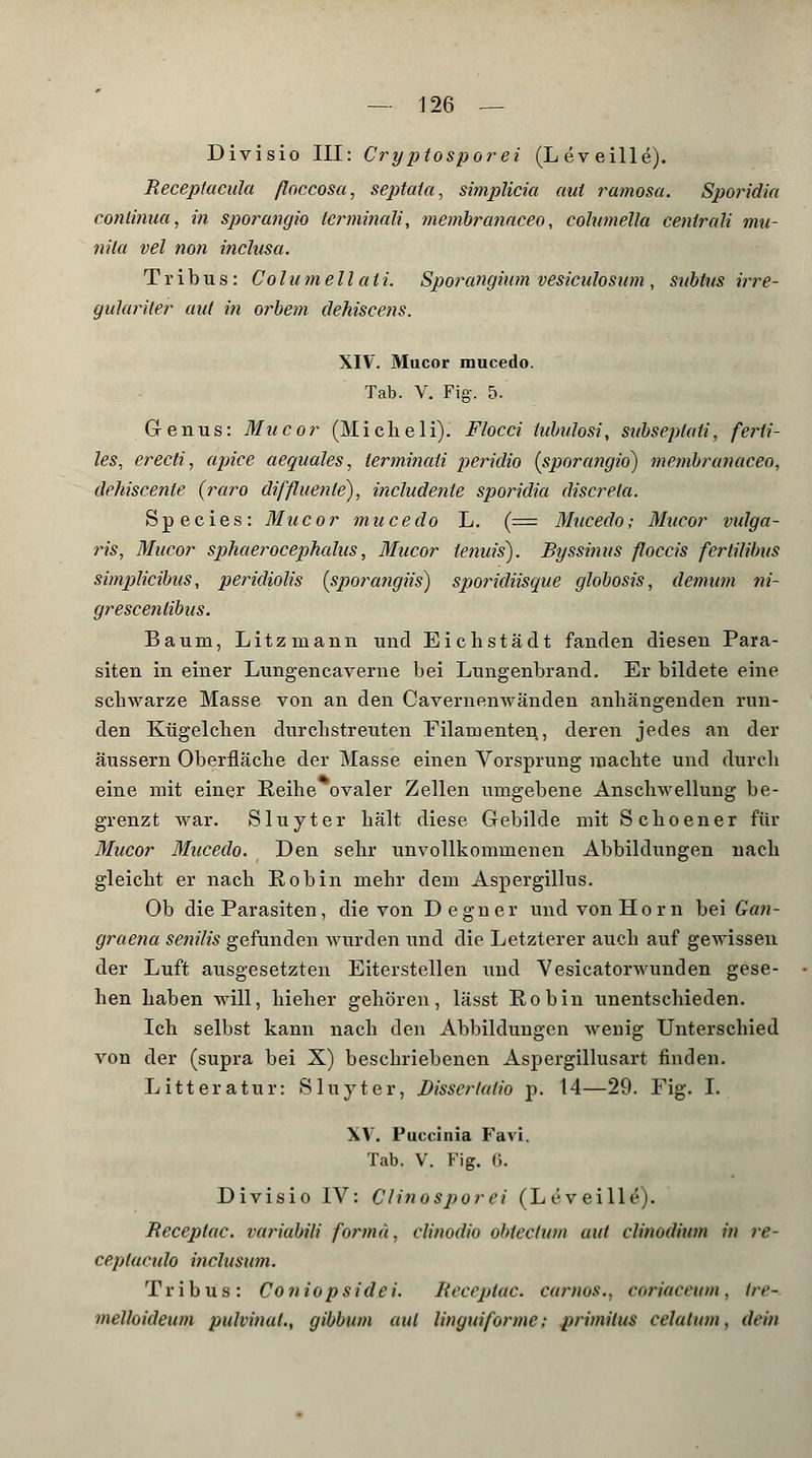 Divisio III: Cryptosporei (Leveille). Receptacula floccosa, septata, simplicia aul ramosa. Sporidia cohtinua, in sporangio terminäli, membranaceo, columella cenlrali mu- nila vel non inclusa. Tribus: Columellali. Sporangium vesiculosum , subtus irre- gulärster aul in orbem dehiscens. XIV. Mucor mucedo. Tab. V. Fig. 5. Grenus: Muco? (Micheli). Flocci lubulosi, subseplati, ferti- les, erecti, apice aequales, lerminaii peridio [sporangio) membranaceo, dehiscente (raro diffluenle), includente sporidia discrela. S p e c i e s : Mucor mucedo L. (== Mucedo; Mucor vulga- ris, Mucor sphaerocephalus, Mucor tenuis). Byssinus floccis fertilibus simplicibus, peridiolis (sporatigiis) sporidiisque globosis, demum ni- grescenlibus. Baum, Litzmann und Eichstädt fanden diesen Para- siten in einer Lungencaverne bei Lungenbrand. Er bildete eine schwarze Masse von an den Cavernenwänden anhängenden run- den Kügelchen durchstreuten Filamenten, deren jedes an der äussern Oberfläche der Masse einen Vorsprung machte und durch eine mit einer Reihe ovaler Zellen umgebene Anschwellung be- grenzt war. Sluyter hält diese Gebilde mit Schoener für Mucor Mucedo. Den sehr unvollkommenen Abbildungen nach gleicht er nach Robin mehr dem Aspergillus. Ob die Parasiten, die von Degner und von Hörn bei Gan- graena senilis gefunden Avurden und die Letzterer auch auf gewissen der Luft ausgesetzten Eiterstellen und Vesicatorwunden gese- hen haben will, hieher gehören, lässt Robin unentschieden. Ich selbst kann nach den Abbildungen wenig Unterschied von der (supra bei X) beschriebenen Aspergillusart finden. Litteratur: Sluyter, Dissertalio p. 14—29. Fig. I. XV. Puccinia Favi. Tab. V. Fig. 6. Divisio IV: Clinosporci (Leveille). Receptac. variabili forma, clinodio obtectum aut clinodium in re- ceplaculo inclusum. Tribus: Contopsidei. Receptac. carnos., coriaceutn, ire- melloideum pulvinat., gibbum aul litiguiforme; primilus celalum, drin