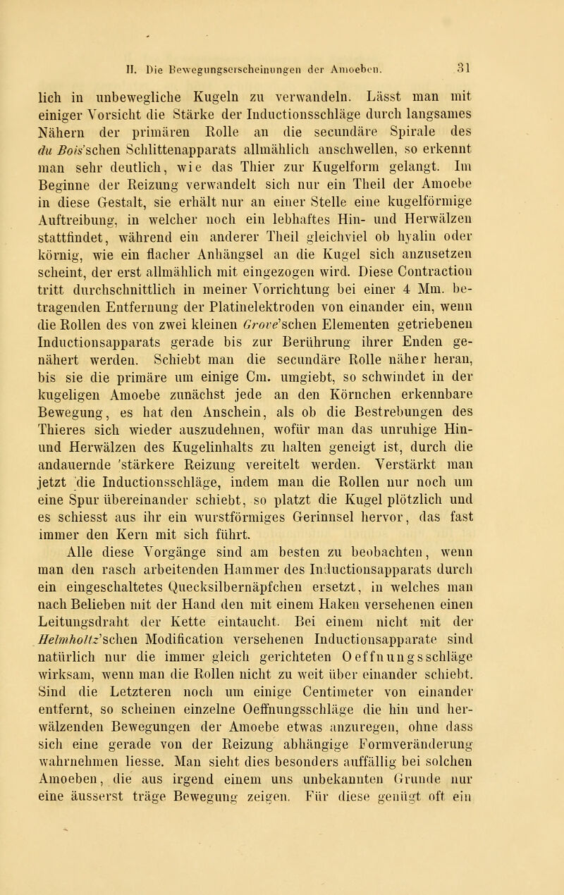 lieh in unbewegliche Kugeln zu verwandeln. Lässt man mit einiger Vorsicht die Stärke der Inductionsschläge durch langsames Nähern der primären Rolle an die secundäre Spirale des (hl ^o/Vschen Schlittenapparats allmählich anschwellen, so erkennt man sehr deutlich, wie das Thier zur Kugelform gelangt. Im Beginne der Reizung verwandelt sich nur ein Theil der Amoebe in diese Gestalt, sie erhält nur an einer Stelle eine kugelförmige Auftreibung, in welcher noch ein lebhaftes Hin- und Herwälzen stattfindet, während ein anderer Theil gleichviel ob hyalin oder körnig, wäe ein flacher Anhängsel an die Kugel sich anzusetzen scheint, der erst allmählich mit eingezogen wird. Diese Contraction tritt durchschnittlich in meiner Vorrichtung bei einer 4 Mm. be- tragenden Entfernung der Platinelektroden von einander ein, wenn die Rollen des von zwei kleinen 6'roi'e'schen Elementen getriebenen Inductionsapparats gerade bis zur Berührung ihrer Enden ge- nähert werden. Schiebt man die secundäre Rolle näher heran, bis sie die primäre um einige Cm. umgiebt, so schwindet in der kugeligen Amoebe zunächst jede an den Körnchen erkennbare Bewegung, es hat den Anschein, als ob die Bestrebungen des Thieres sich wieder auszudehnen, wofür man das unruhige Hin- und Herwälzen des Kugelinhalts zu halten geneigt ist, durch die andauernde 'stärkere Reizung vereitelt werden. Verstärkt man jetzt die Inductionsschläge, indem man die Rollen nur noch um eine Spur übereinander schiebt, so platzt die Kugel plötzlich und es schiesst aus ihr ein wurstförmiges Gerinnsel hervor, das fast immer den Kern mit sich führt. Alle diese Vorgänge sind am besten zu beobachten, wenn man den rasch arbeitenden Hammer des Inductionsapparats durch ein eingeschaltetes Quecksilbernäpfchen ersetzt, in welches man nach Belieben mit der Hand den mit einem Haken versehenen einen Leitungsdraht der Kette eintaucht. Bei einem nicht mit der HeUnhoItz'^Qhen Modification versehenen Inductionsapparate sind natürlich nur die immer gleich gerichteten Oeffnungs schlage wirksam, wenn man die Rollen nicht zu weit über einander schiebt. Sind die Letzteren noch um einige Centimeter von einander entfernt, so scheinen einzelne Oeffnungsschläge die hin und her- wälzenden Bewegungen der Amoebe etwas anzuregen, ohne dass sich eine gerade von der Reizung abhängige Formveränderung wahrnehmen Hesse. Man sieht dies besonders auffällig bei solchen Amoeben, die aus irgend einem uns unbekannten Grunde nur eine äusserst träge Bewegung zeigen. Für diese genügt oft ein