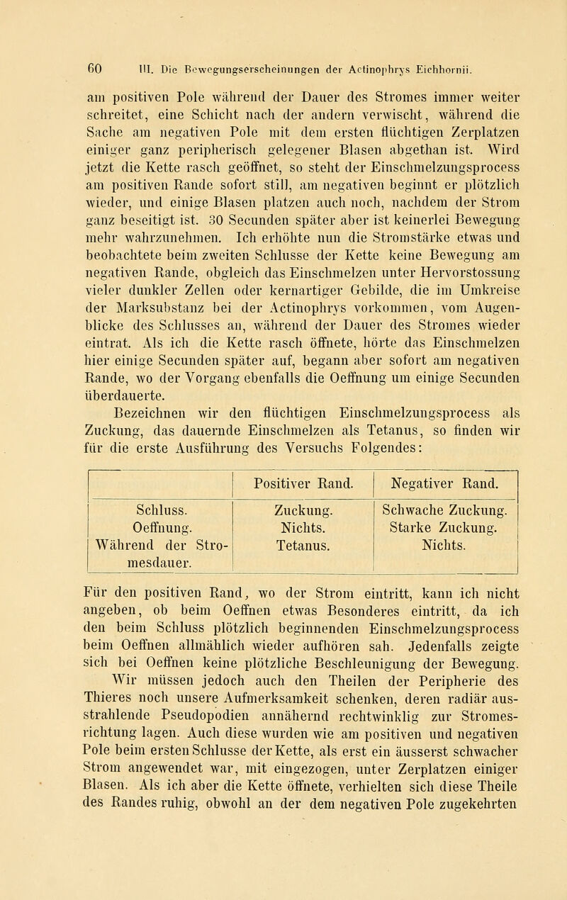 am positiven Pole während der Dauer des Stromes immer weiter schreitet, eine Schicht nach der andern verwischt, während die Sache am negativen Pole mit dem ersten flüchtigen Zerpla^tzen einiger ganz peripherisch gelegener Blasen abgethan ist. Wird jetzt die Kette rasch geöffnet, so steht der Einschmelzungsprocess am positiven Rande sofort still, am negativen beginnt er plötzlich wieder, und einige Blasen platzen auch noch, nachdem der Strom ganz beseitigt ist. 30 Secunden später aber ist keinerlei Bewegung mehr wahrzunehmen. Ich erhöhte nun die Stromstärke etwas und beobachtete beim zweiten Schlüsse der Kette keine Bewegung am negativen Rande, obgleich das Einschmelzen unter Hervorstossung vieler dunkler Zellen oder kernartiger Gebilde, die im Umkreise der Marksubstanz bei der Actinophrys vorkommen, vom Augen- blicke des Schlusses an, während der Dauer des Stromes wieder eintrat. Als ich die Kette rasch öffnete, hörte das Einschmelzen hier einige Secunden später auf, begann aber sofort am negativen Rande, wo der Vorgang ebenfalls die Oeffnung um einige Secunden überdauerte. Bezeichnen wir den flüchtigen Einschmelzungsprocess als Zuckung, das dauernde Einschmelzen als Tetanus, so finden wir für die erste Ausführung des Versuchs Folgendes: Positiver Rand. Negativer Rand. Schluss. Oeffnung. Während der Stro- mesdauer. Zuckung. Nichts. Tetanus. Schwache Zuckung. Starke Zuckung. Nichts. Für den positiven Rand, wo der Strom eintritt, kann ich nicht angeben, ob beim Oeffnen etwas Besonderes eintritt, da ich den beim Schluss plötzlich beginnenden Einschmelzungsprocess beim Oeffnen allmählich wieder aufhören sah. Jedenfalls zeigte sich bei Oeffnen keine plötzliche Beschleunigung der Bewegung. Wir müssen jedoch auch den Theilen der Peripherie des Thieres noch unsere Aufmerksamkeit schenken, deren radiär aus- strahlende Pseudopodien annähernd rechtwinklig zur Stromes- richtung lagen. Auch diese wurden wie am positiven und negativen Pole beim ersten Schlüsse der Kette, als erst ein äusserst schwacher Strom angewendet war, mit eingezogen, unter Zerplatzen einiger Blasen. Als ich aber die Kette öffnete, verhielten sich diese Theile des Randes ruhig, obwohl an der dem negativen Pole zugekehrten