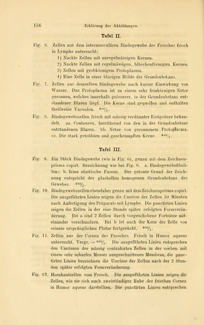 Tafel II. Fig. B. Zellen aus dem intermusculäreu Bindegewebe des Frosches frisch in Lymphe untersucht: 1) Nackte Zellen mit unregelmässigen Kernen. 2) Nackte Zellen mit regelmässigen, bläschenförmigen Kernen. 3) Zellen mit grobkörnigem Protoplasma. 4) Eine Zelle in einer blasigen Höhle der Grundsubstanz. Fig. 7. Zellen aus demselben Bindegewebe nach kurzer Einwirkung von Wasser. Das Protoplasma ist zu einem sehr feinkörnigen Netze geronnen, welches innerhalb grösserer, in der Grundsubstanz ent- standener Blasen liegt. Die Kerne sind gequollen und enthalten theilweise Vacuolen. ^^o/^. Fig. 8. Bindegewebszellen frisch mit massig verdünnter Essigsäure behan- delt, aa. Contouren, herrührend von den in der Grundsubstanz entstandenen Blasen, bb. Netze von geronnenem Protoplasma, cc. Die stark getrübten und geschrumpften Kerne. '^^%. Tafel III. Fig. 9. Ein Stück Bindegewebe (wie in Fig. ß), genau mit dem Zeichnen- prisma copirt. Bezeichnung wie bei Fig. B. a. Bindegewebsfibril- len; b. feine elastische Fasern. Der getonte Grund der Zeich- nung entspricht der glashellen homogenen Grundsubstanz des Gewebes, ^oo/^. Fig. 10. Bindegewebszellen ebendaher genau mit dem Zeichuenprisma copirt. Die ausgeführten Linien zeigen die Umrisse der Zellen 30 Minuten nach Anfertigung des Präparats mit Lymphe. Die punctirten Linien zeigen die Zellen in der eine Stunde später erfolgten Formverän- derung. Bei a sind 2 Zellen durch vorgeschobene Fortsätze mit- einander verschmolzen. Bei b ist auch der Kern der Zelle von seinem ursprünglichen Platze fortgerückt. ^^%. Fig. 11. Zellen aus der Cornea des Frosches. Frisch in Humor aqueus untersucht. Vergr. = *oo/^. j)ie ausgeführten Linien entsprechen den Umrissen der massig eontrahirten Zellen in der soeben mit einem sehr scharfen Messer ausgeschnittenen Membran, die punc- tirten Linien bezeichnen die Umrisse der Zellen nach der 2 Stun- den später erfolgten Formveränderung. Fig. 12. Hornhautzellen vom Frosch. Die ausgeführten Linien zeigen die Zellen, wie sie sich nach zweistündiger Euhe der frischen Cornea in Humor aqueus darstellten. Die punctii'ten Linien entsprechen