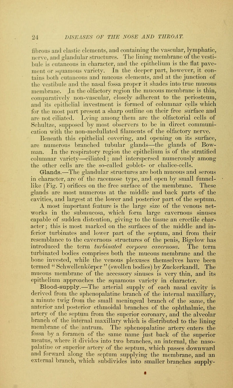 fibrous and clastic elements, and containing the vascular, lymphatic, nerve, and glandular structures. The lining membrane of the vesti- bule is cutaneous in character, and the epithelium is the flat pave- ment or squamous variety. In the deeper part, however, it con- tains both cutaneous and mucous elements, and at the junction of the vestibule and the nasal fossa proper it shades into true mucous membrane. In the olfactory region the mucous membrane is thin, comparatively non-vascular, closely adherent to the periosteum, and its epithelial investment is formed of columnar cells which for the most part present a sharp outline on their free surface and are not ciliated. Lying among them are the olfactorial cells of Sehultze, supposed by most observers to be in direct communi- cation with the non-medullated filaments of the olfactory nerve. Beneath this epithelial covering, and opening on its surface, are numerous branched tubular glands—the glands of Bow- man. In the respiratory region the epithelium is of the stratified columnar variety—ciliated; and interspersed numerously among the other cells are the so-called goblet- or chalice-cells. Glands.—The glandular structures are both mucous and serous in character, are of the racemose type, and open by small funnel- like (Fig. 7) orifices on the free surface of the membrane. These glands are most numerous at the middle and back parts of the cavities, and largest at the lower and posterior part of the septum. A most important feature is the large size of the venous net- works in the submucosa, which form large cavernous sinuses capable of sudden distention, giving to the tissue an erectile char- acter ; this is most marked on the surfaces of the middle and in- ferior turbinates and lower part of the septum, and from their resemblance to the cavernous structures of the penis, Bigelow has introduced the term turbinated corpora cavernosa. The term turbinated bodies comprises both the mucous membrane and the bone invested, while the venous plexuses themselves have been termed  Schwellenkorper  (swollen bodies) by Zuckerkandl. The mucous membrane of the accessory sinuses is very thin, and its epithelium approaches the squamous variety in character. Blood-supply.—The arterial supply of each nasal cavity is derived from the sphenopalatine branch of the internal maxillary, a minute twig from the small meningeal branch of the same, the anterior and posterior ethmoidal branches of the ophthalmic, the artery of the septum from the superior coronary, and the alveolar branch of the internal maxillary which is distributed to the lining membrane of the antrum. The sphenopalatine artery enters the fossa by a foramen of the same name just back of the superior meatus, where it divides into two branches, an internal, the naso- palatine or superior artery of the septum, which passes downward and forward along the septum supplying the membrane, and an external branch, which subdivides into smaller branches supply-